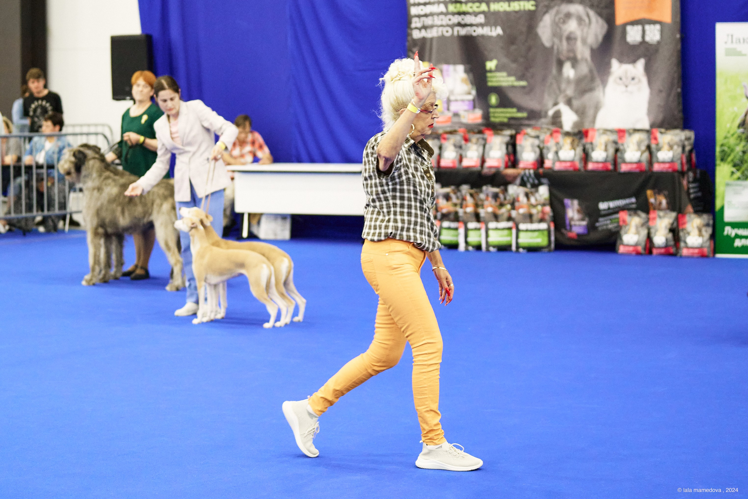 20.07.2024 | «БАЛТИК-ШОУ-1-2024»