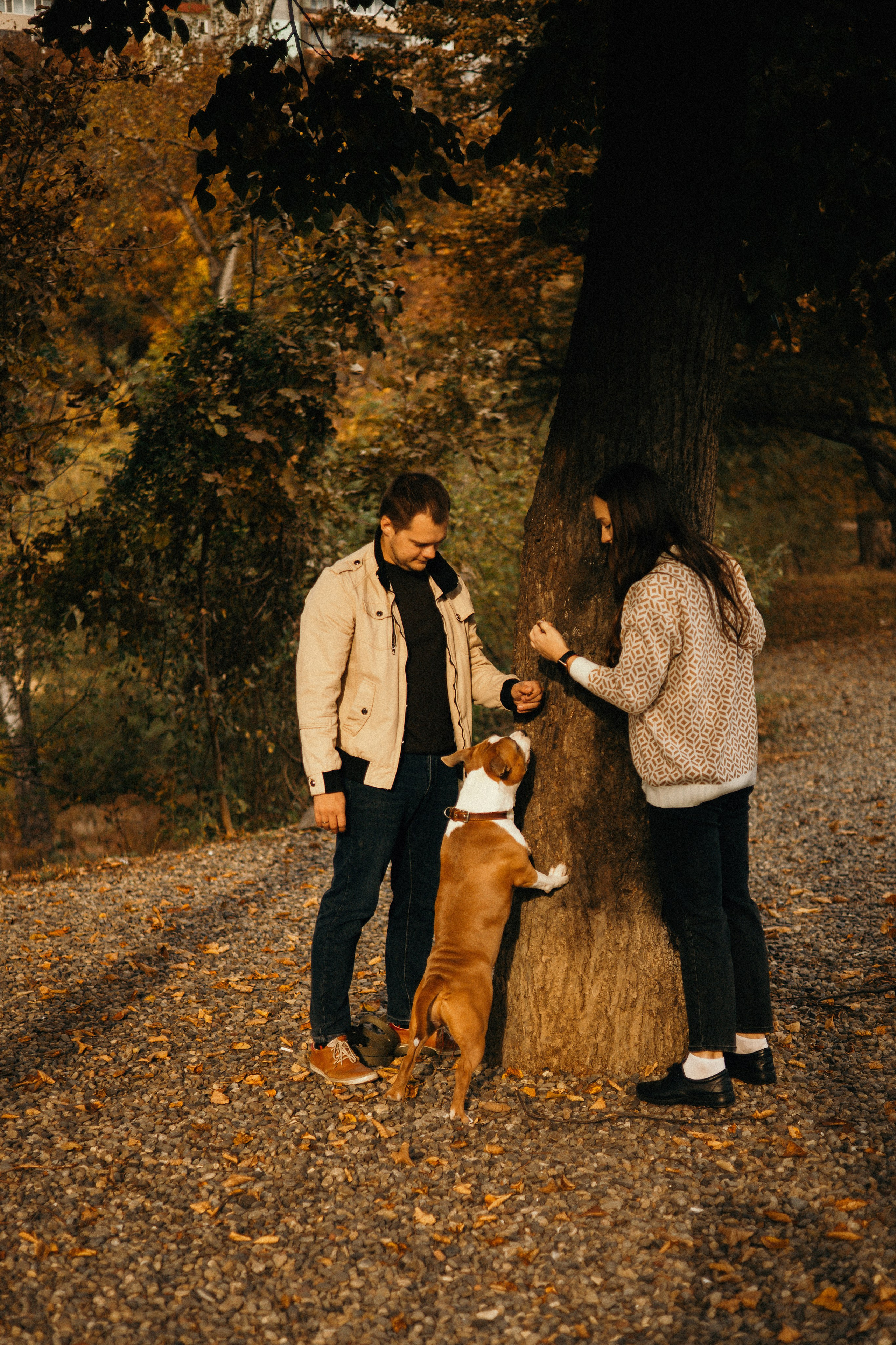 Лаффи и ее семья. Фотограф — анималист Владивосток, Алина