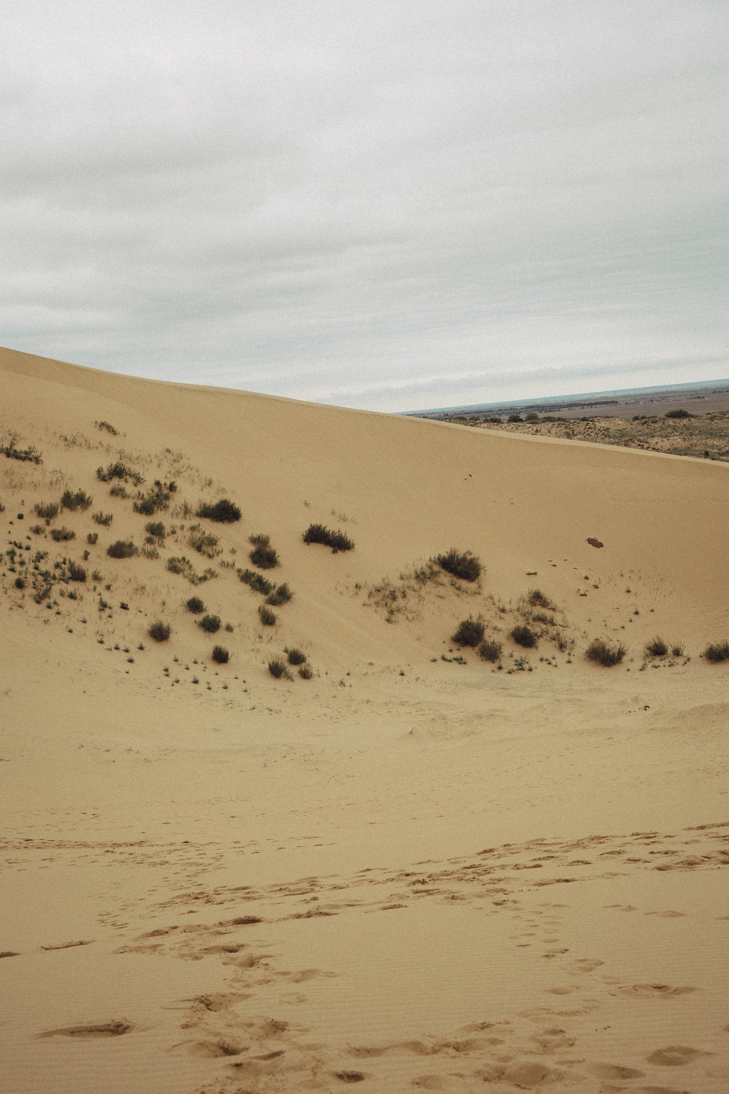 Кавказ. Профессиональный фотограф, Санкт-Петербург — Виктория Богомолова