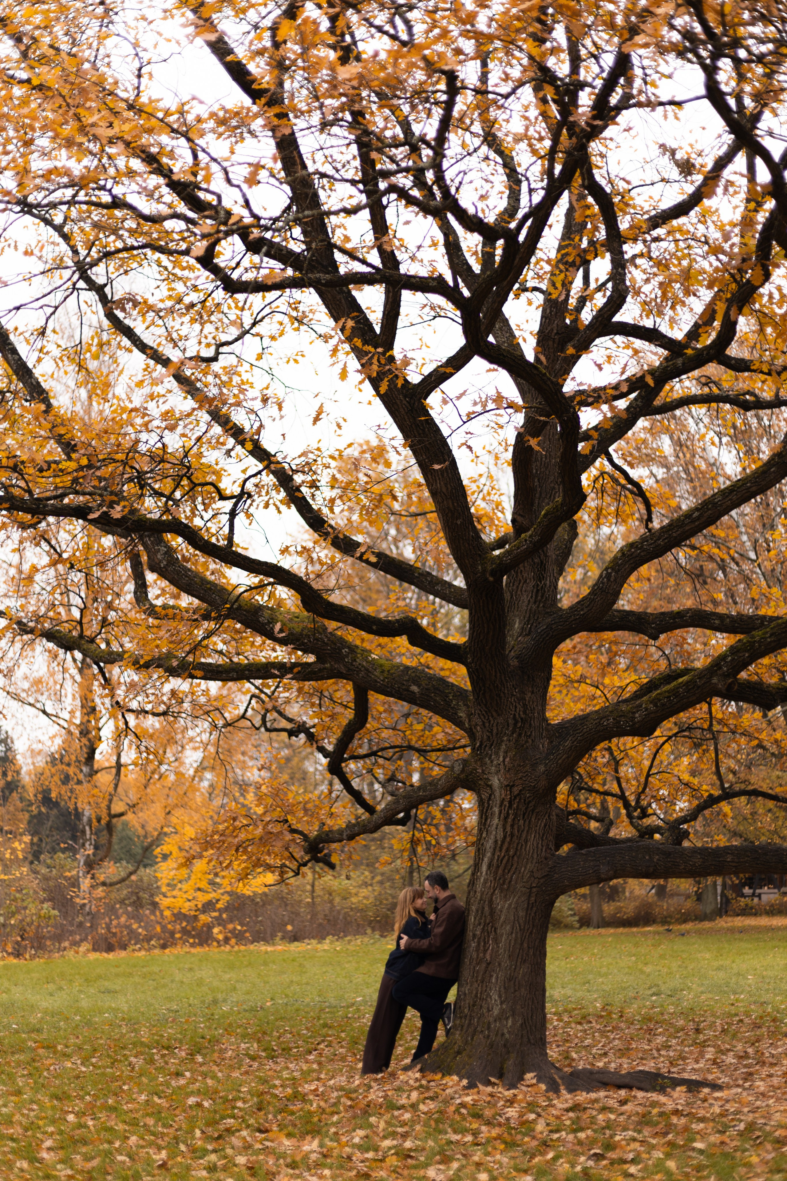 Катя и Карен. Фотограф в Санкт-Петербурге Смирнова Диана