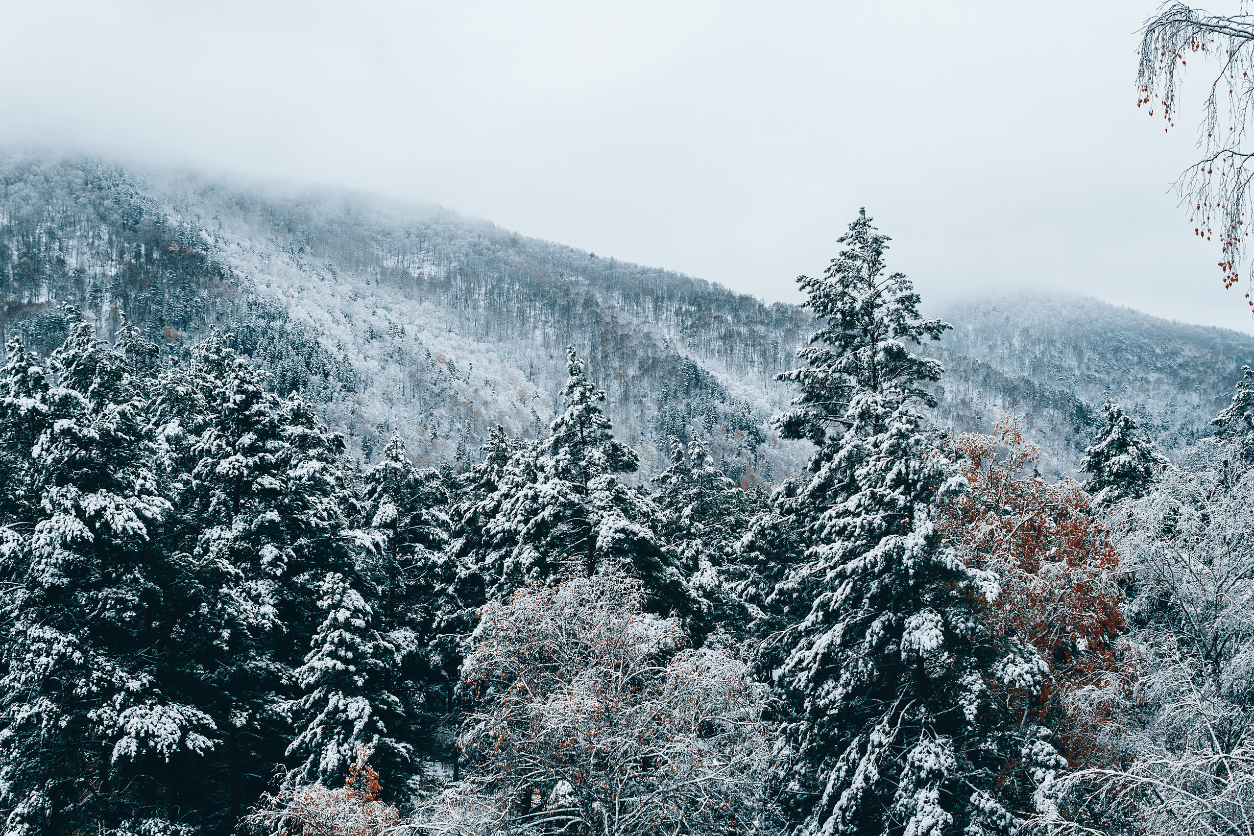Фотографии Горного Алтая. Фотограф в Новокузнецке