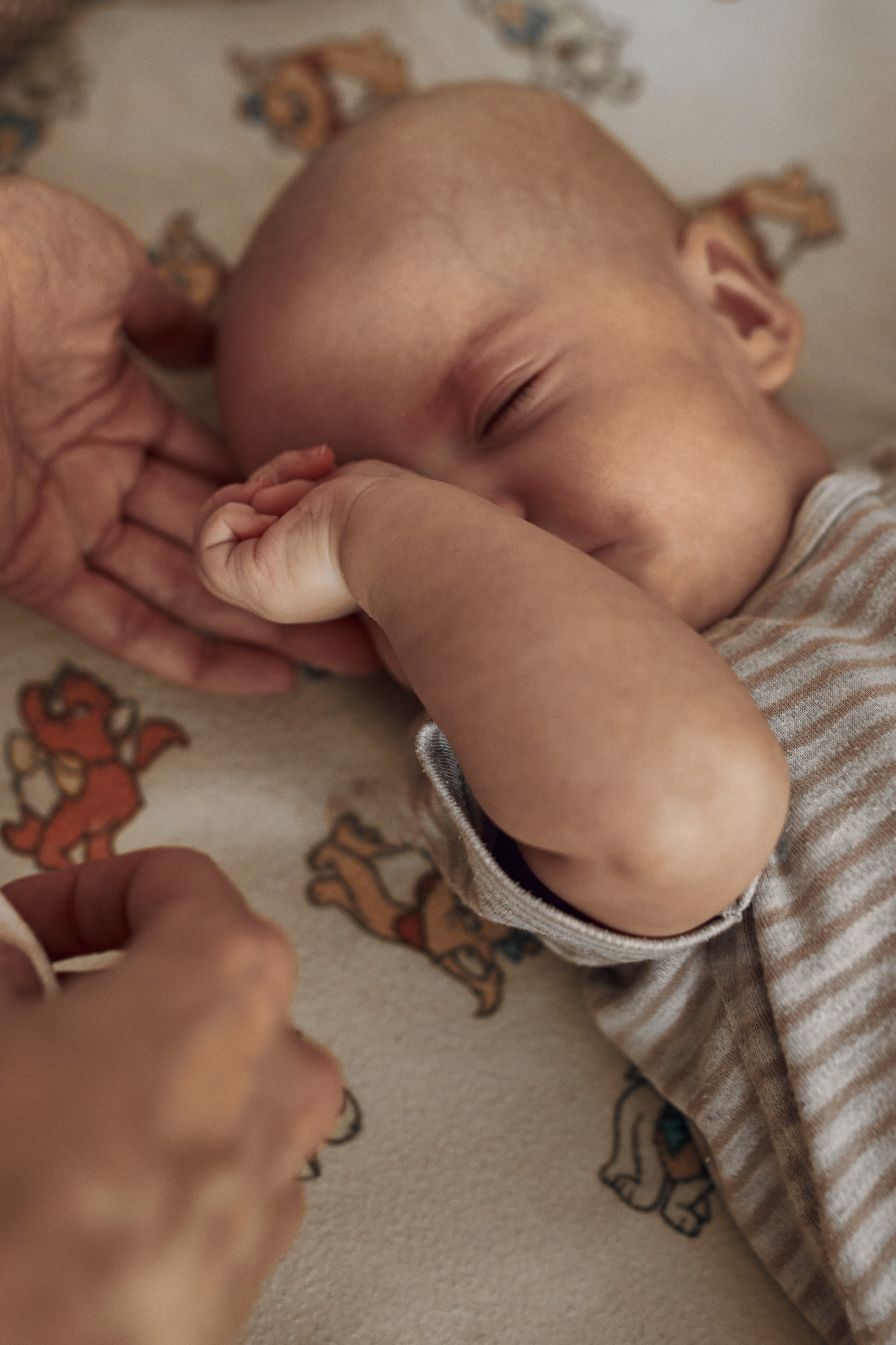 Лена Маша и Даша. Свадебный и Семейный фотограф Москва Петушок Наталья