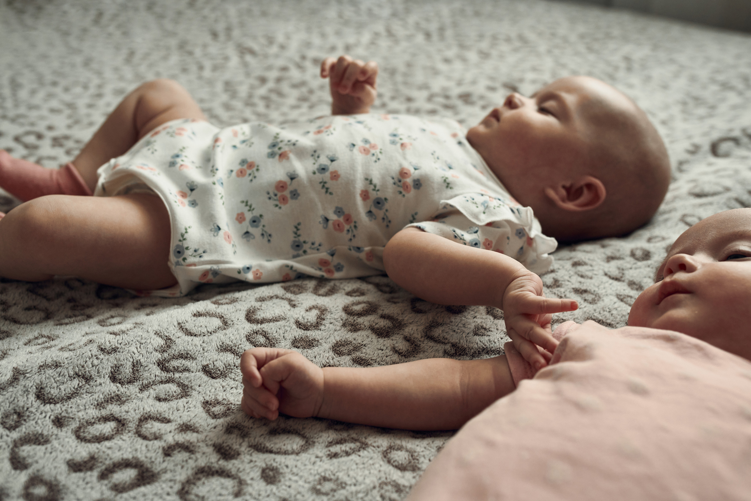 Лена Маша и Даша. Свадебный и Семейный фотограф Москва Петушок Наталья