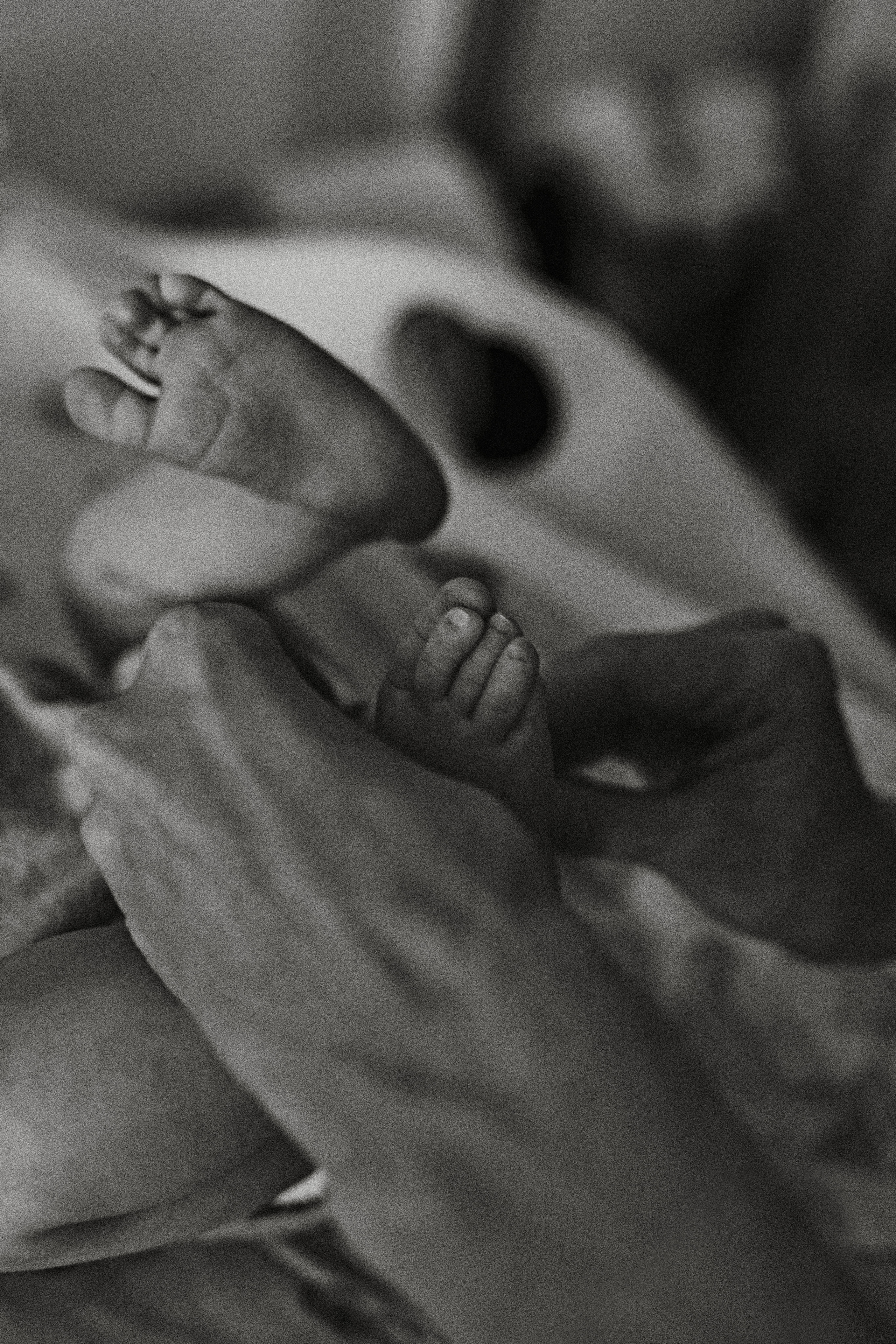 Lena Masha and Dasha