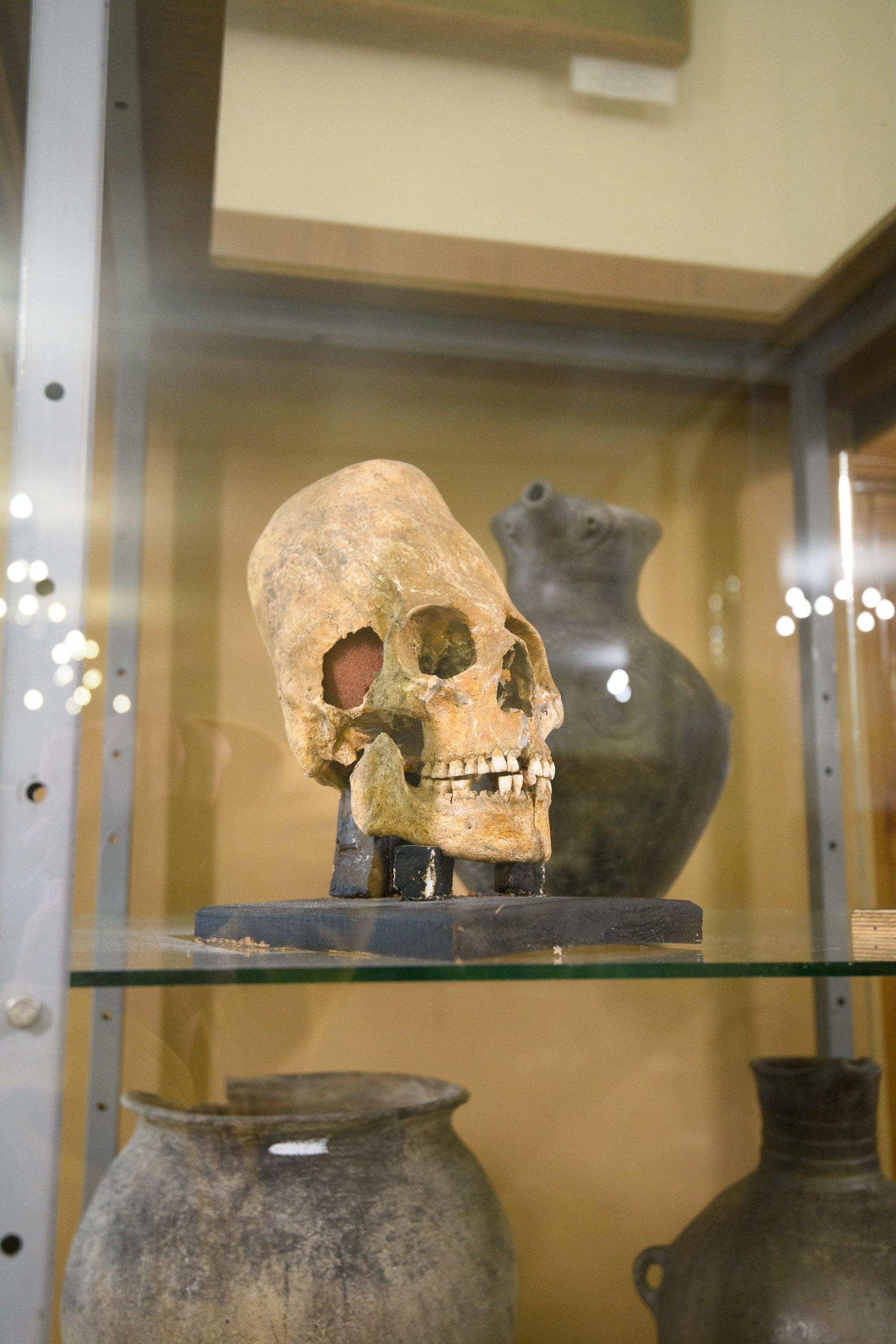 Кисловодск. Профессиональная фотосъемка. Ростов-на-Дону