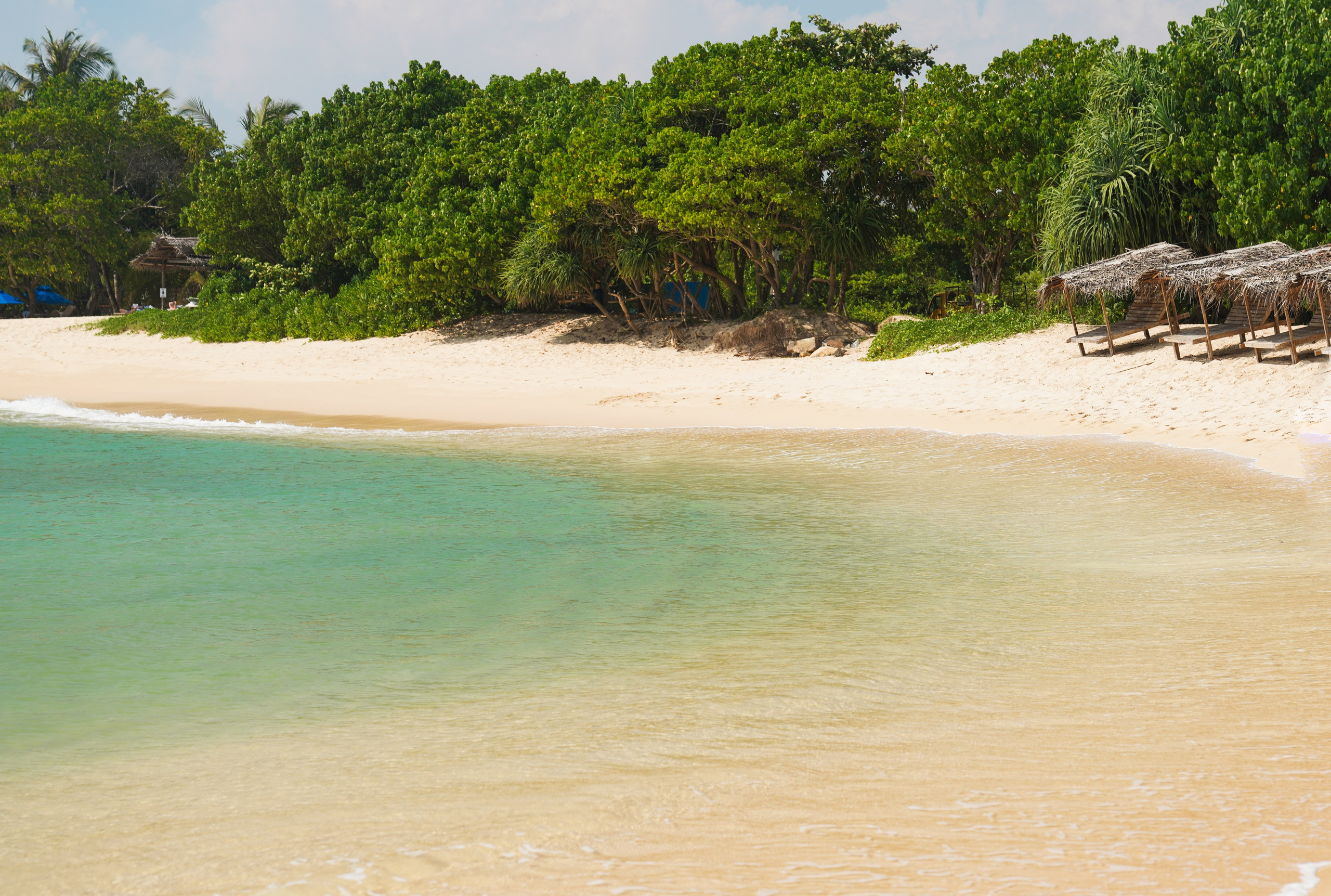 Остров Шри-Ланка. Фотограф Сергей Кишкель Дананг Нячанг Фукуок