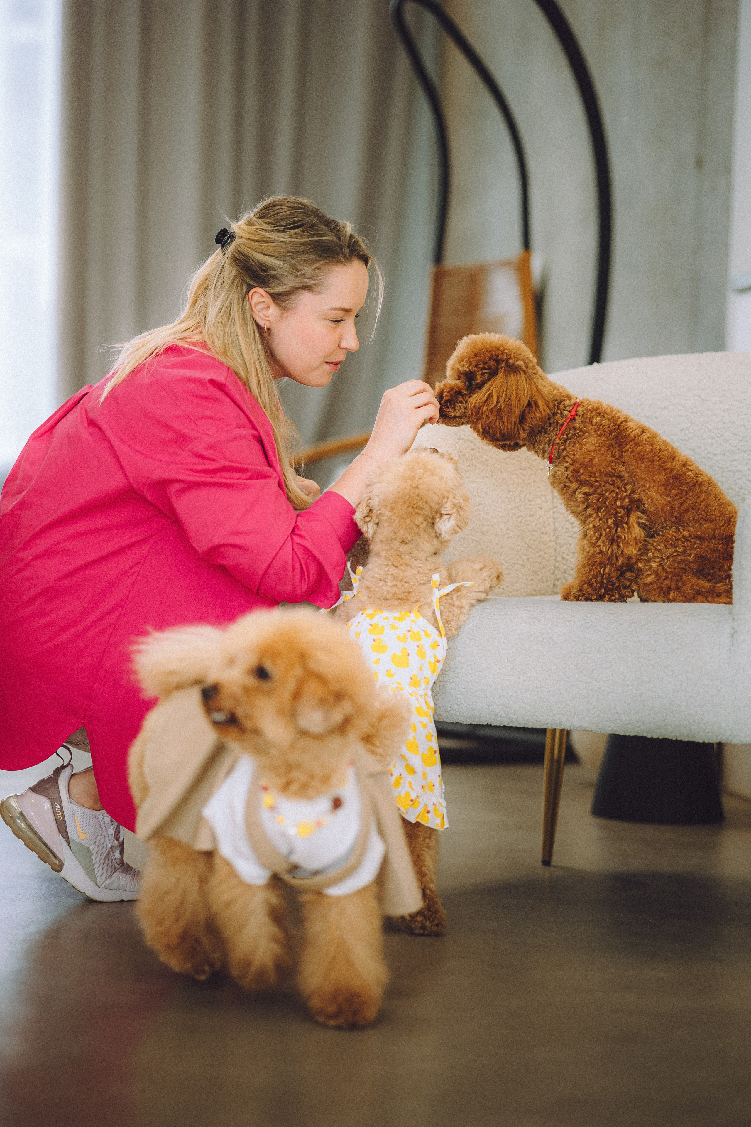 День Рождения пуделя Глаши