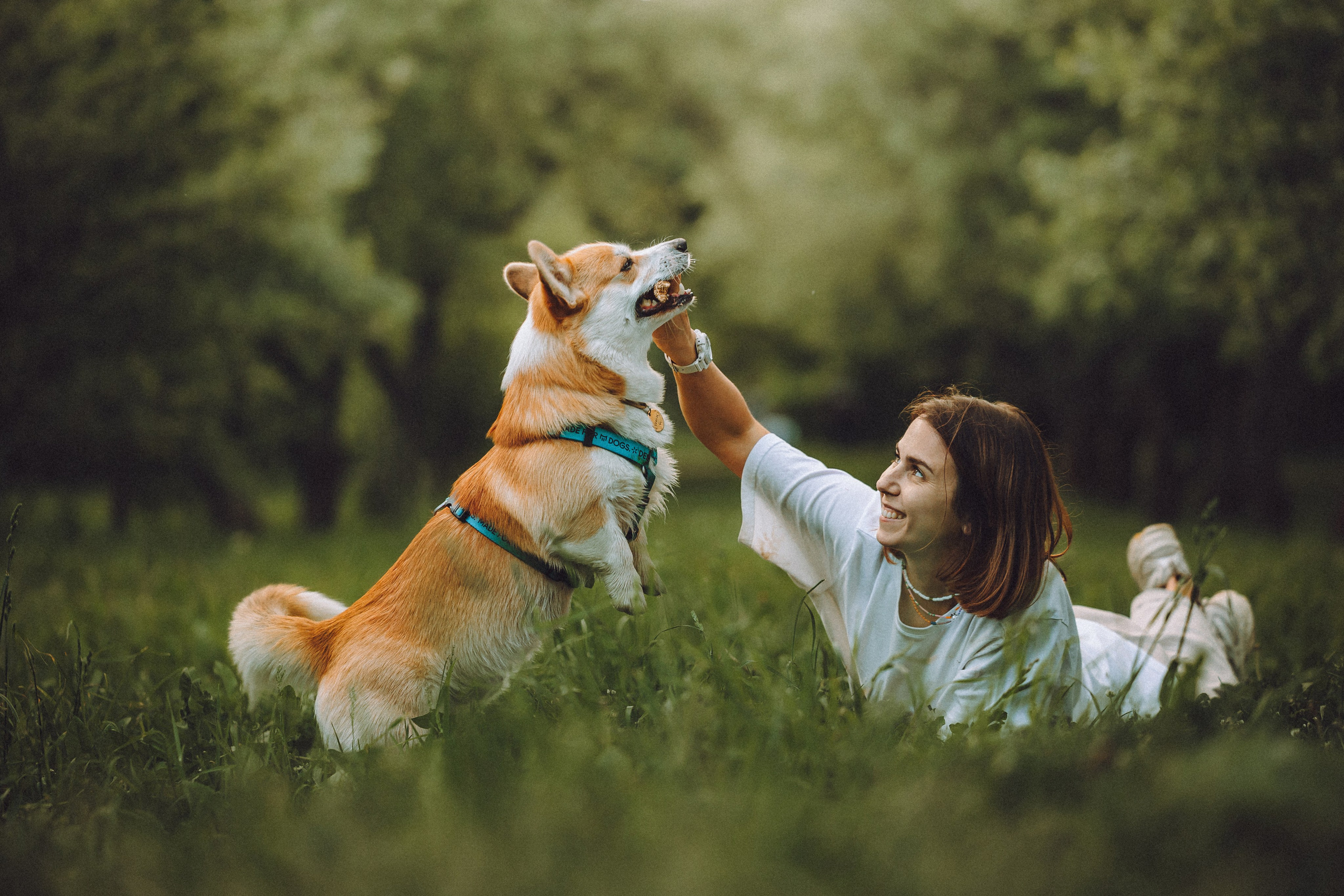 Вирджик и его семья