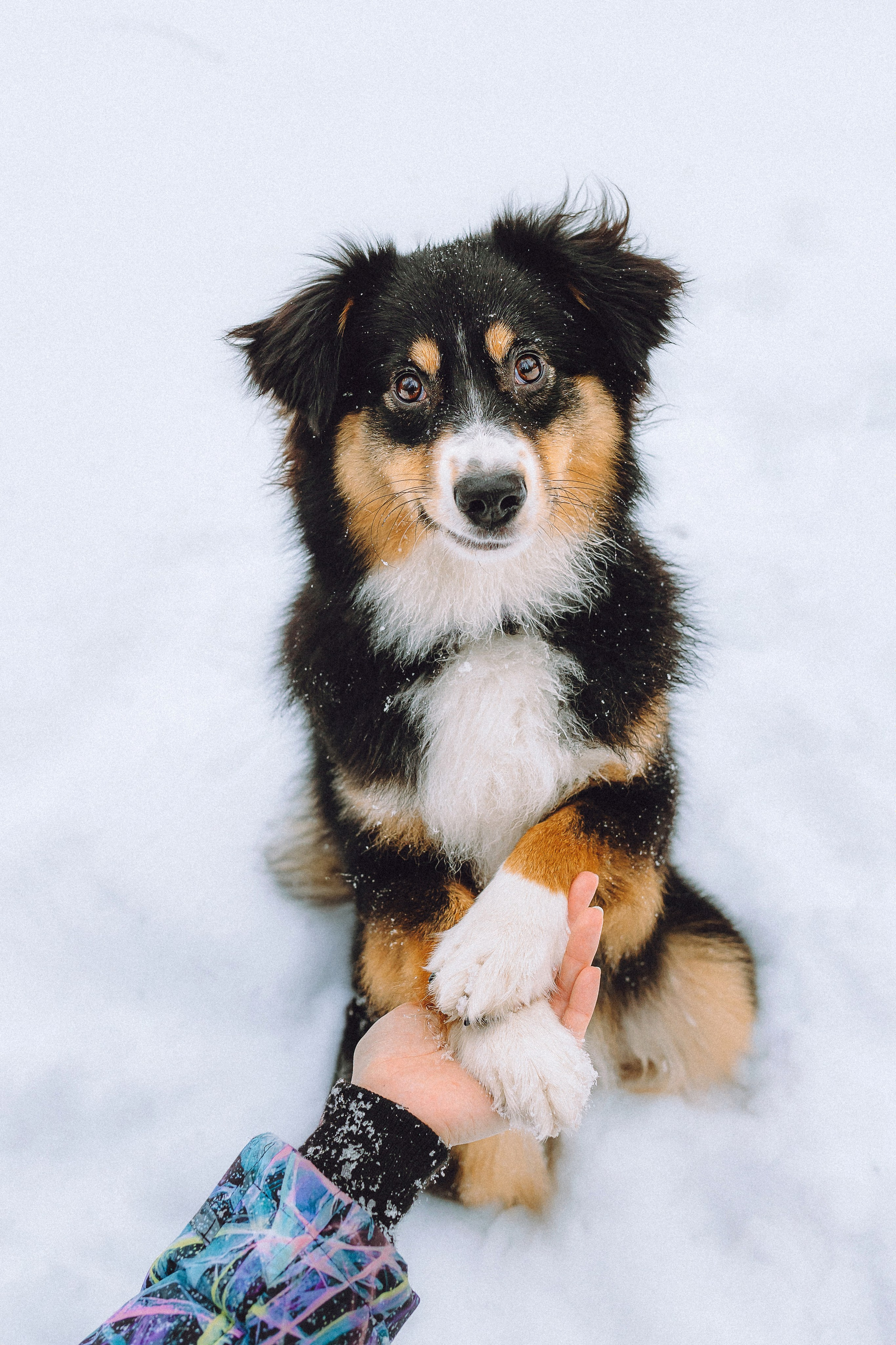 Таня, Ваня и Гром