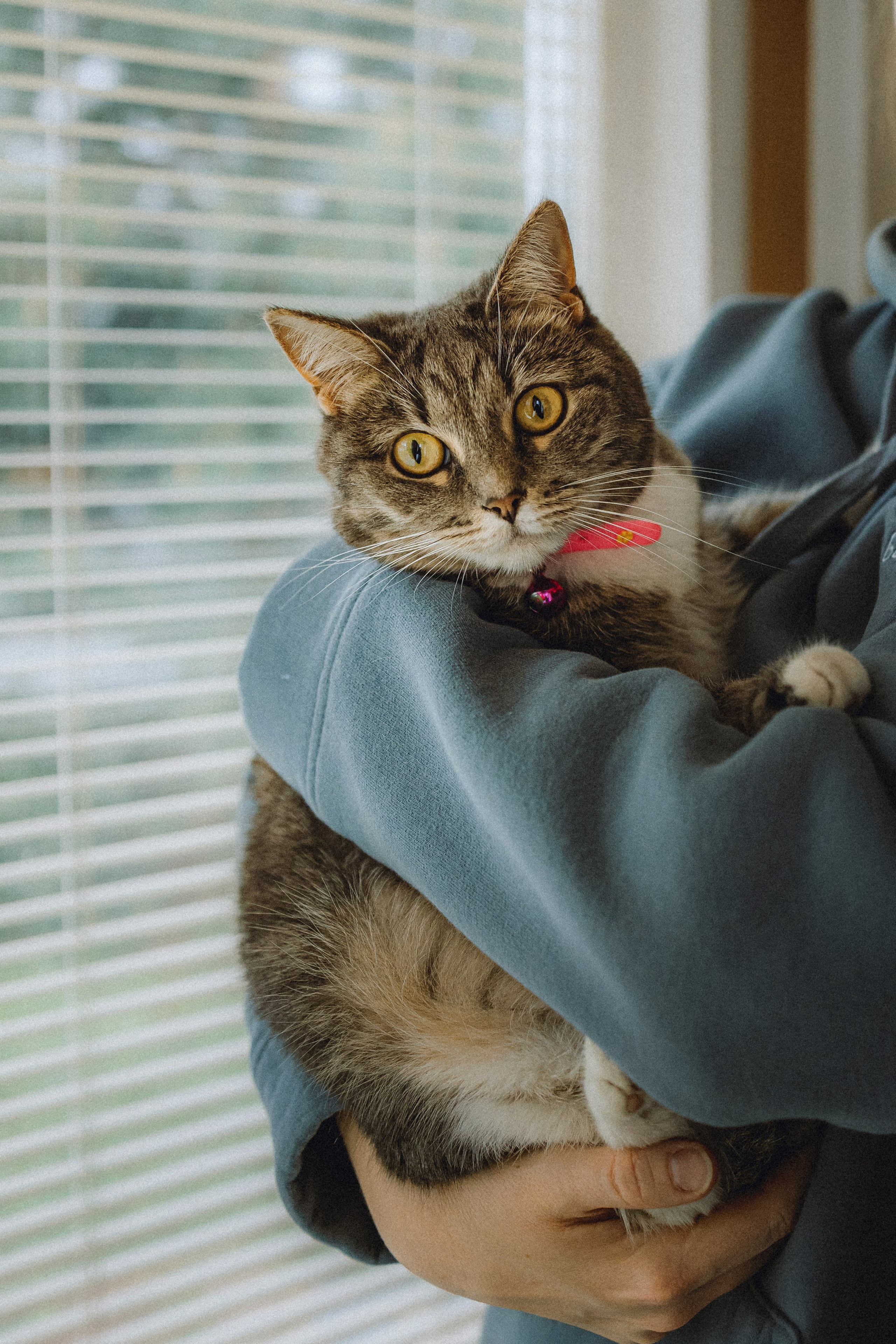 Леброн, Муся и их семья