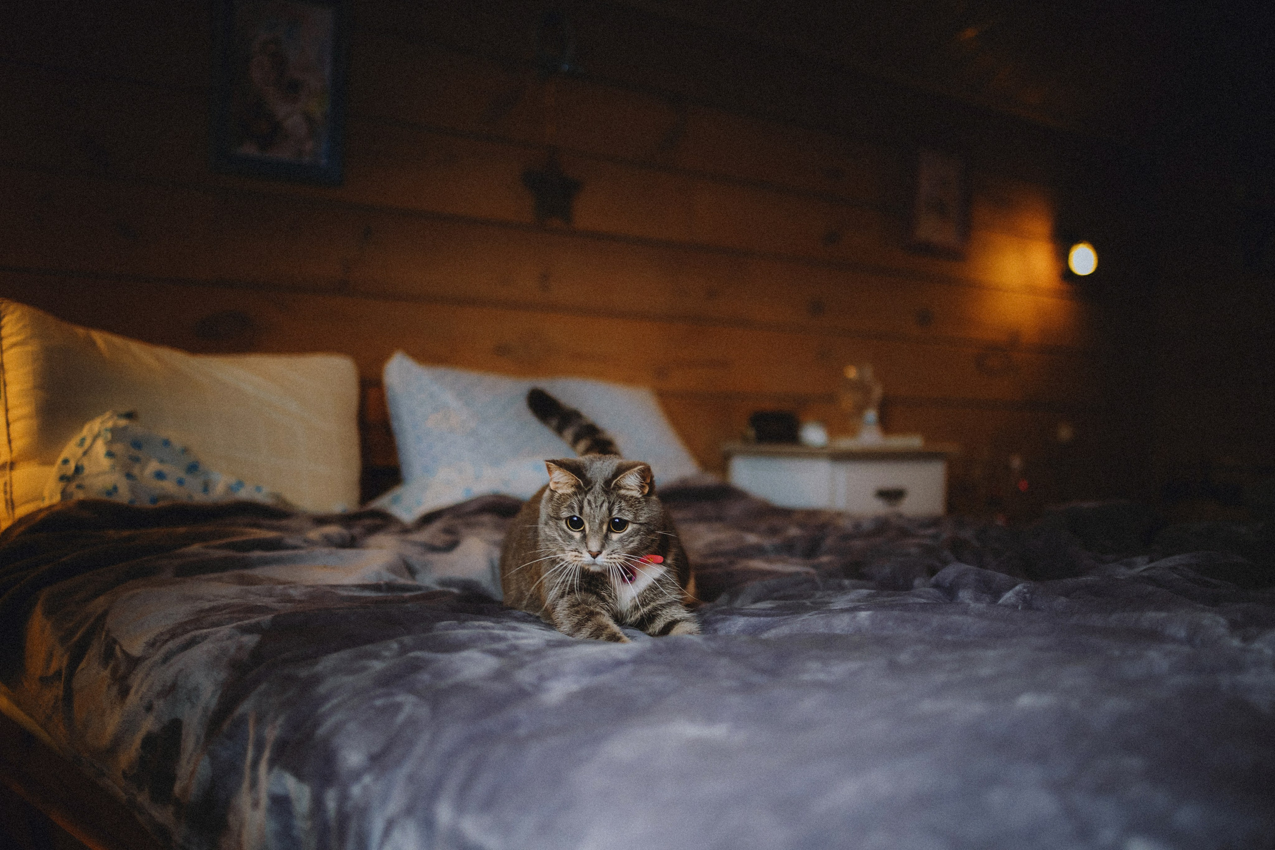 Леброн, Муся и их семья