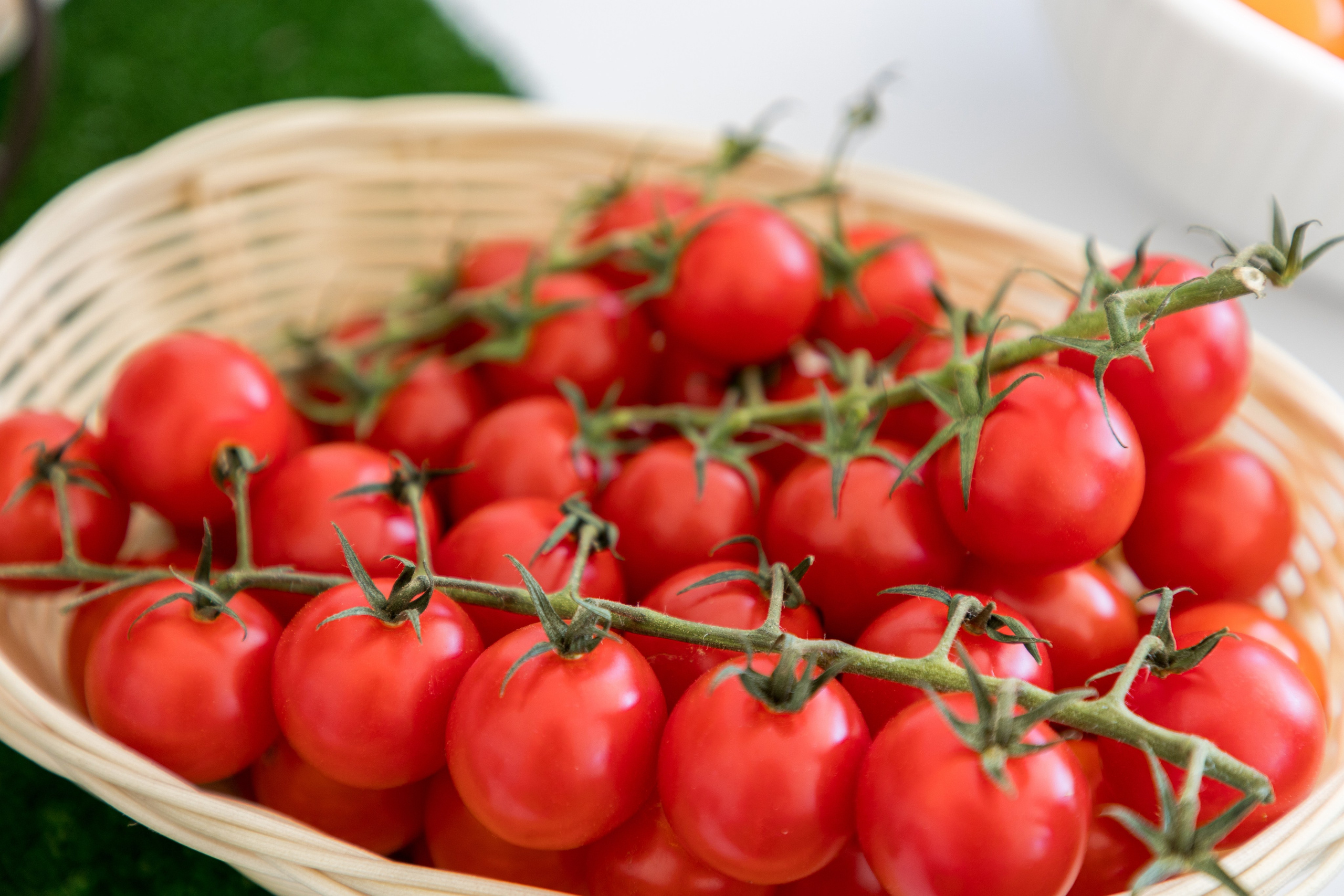 Воронеж Агро-Первый камень. Владислав Волков | Фотография и видеосъемка в Воронеже