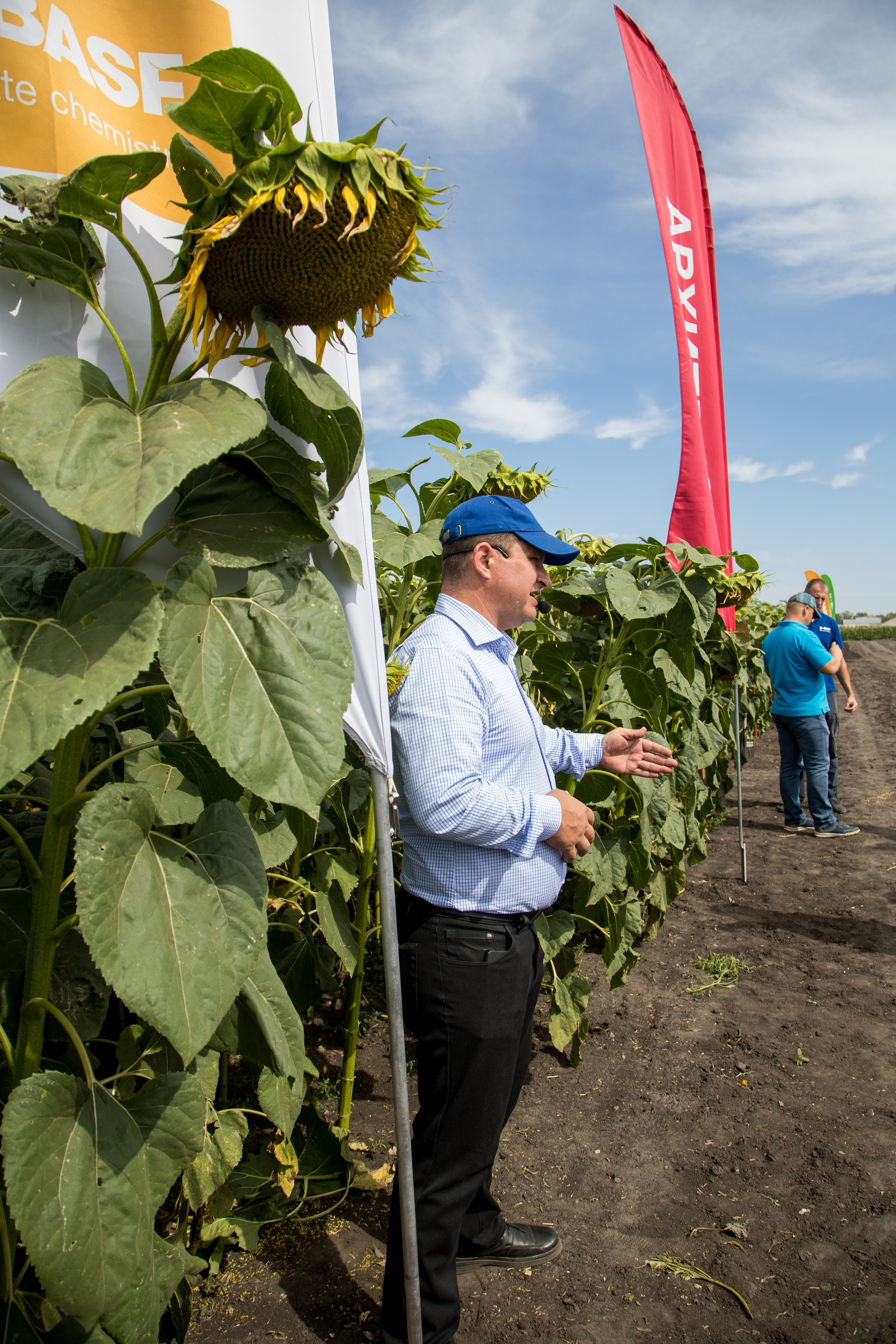 Решения для сельского хозяйства BASF 16.08.2022. Владислав Волков | Фотография и видеосъемка в Воронеже