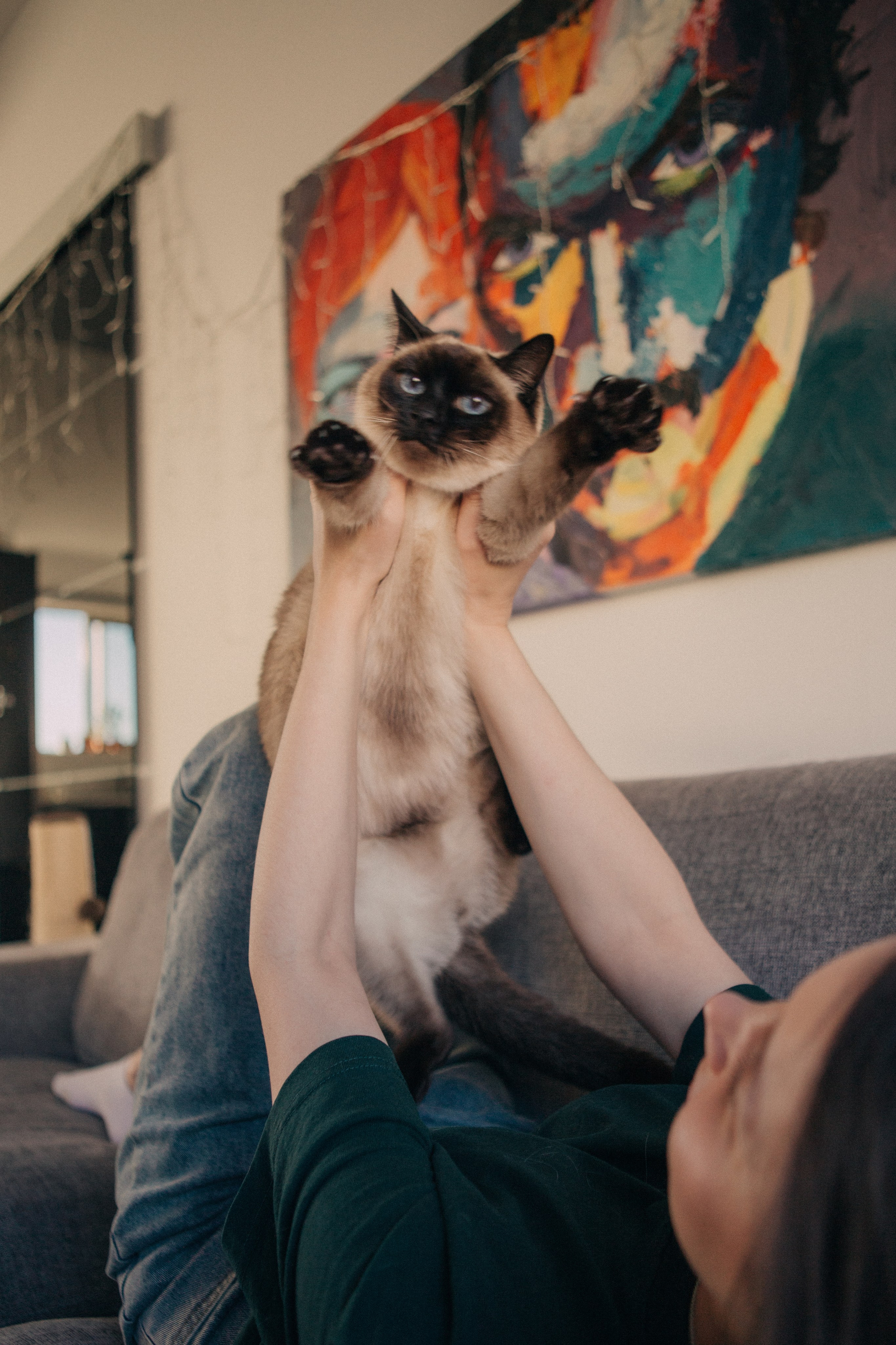 Alina. Portrait, family and pet photographer in Cyprus, Ksenia Bourdelle