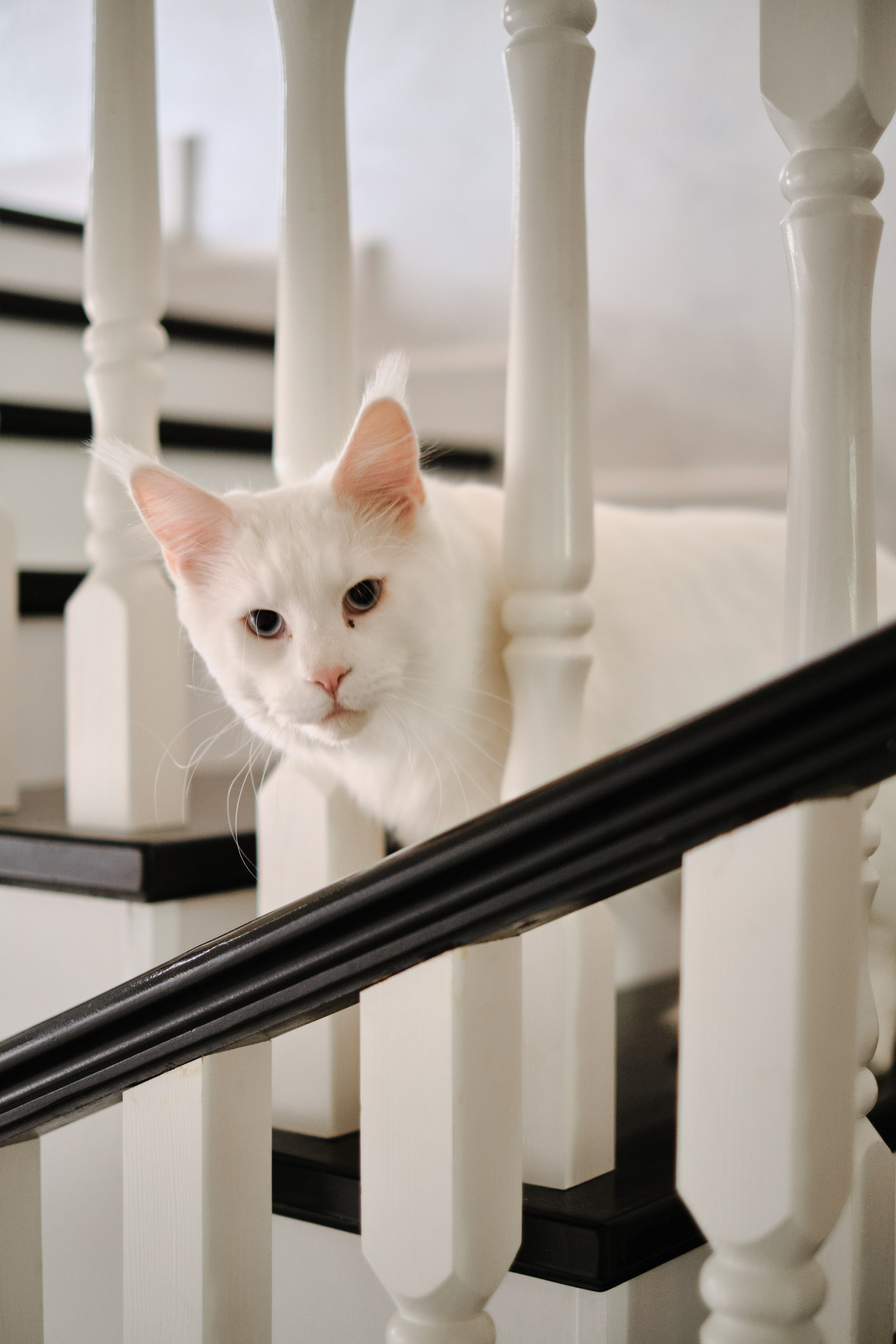Дарья и Роман. Фотограф в Москве и Санкт-Петербурге