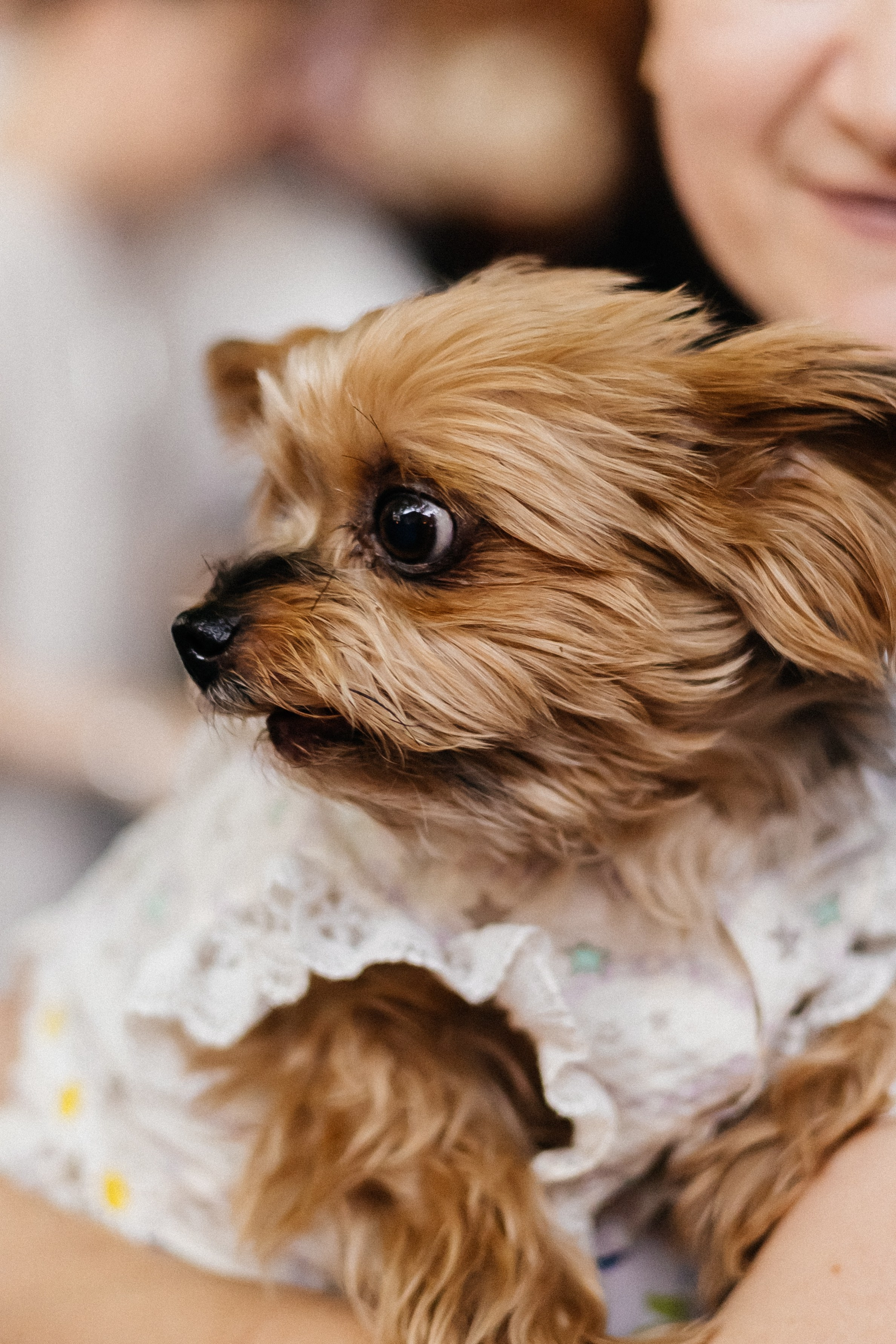 Среда — маленькая пятница| Караоке — бар «Vibe». Фотограф Кемерово | Сергей