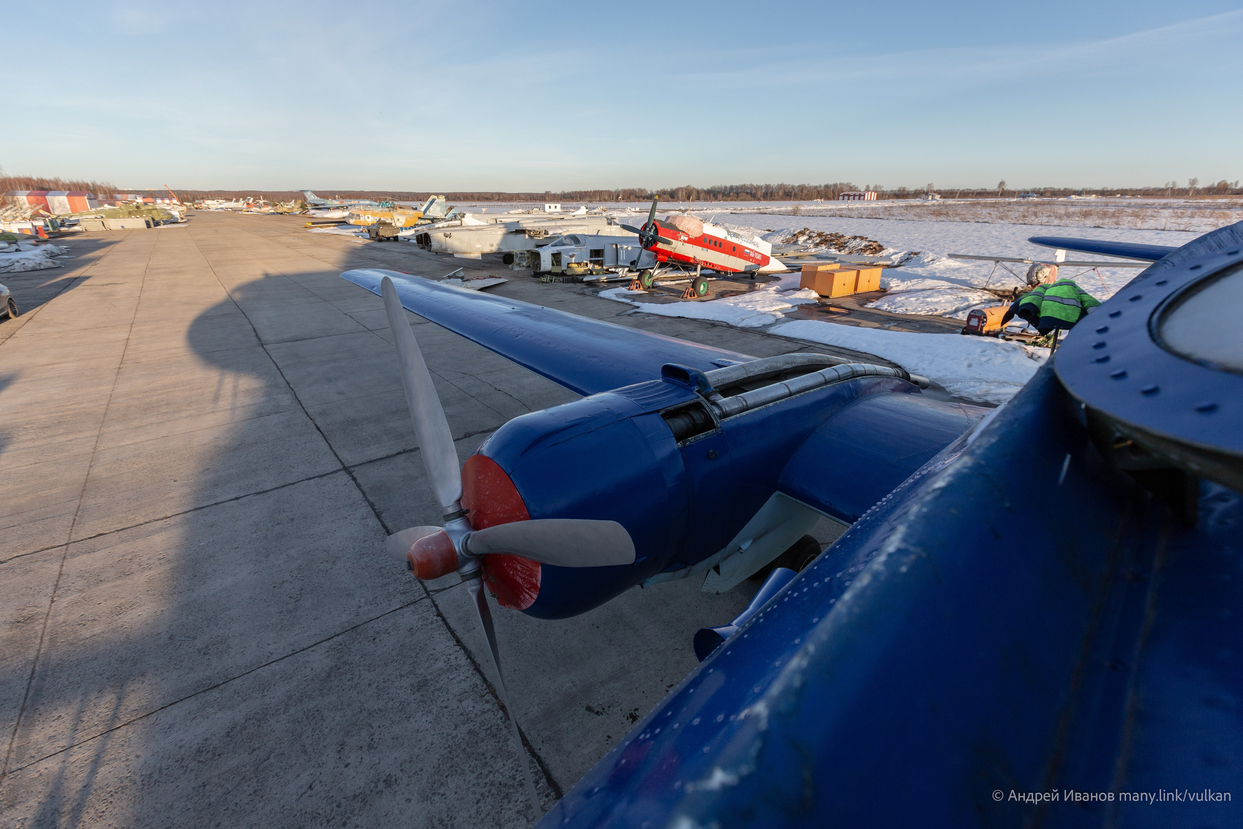 Ил-14Т «Голубая Мечта» (2026 г.). Фотоальбом показывающий увлекательный мир авиации и мир медведей Андрея Иванова