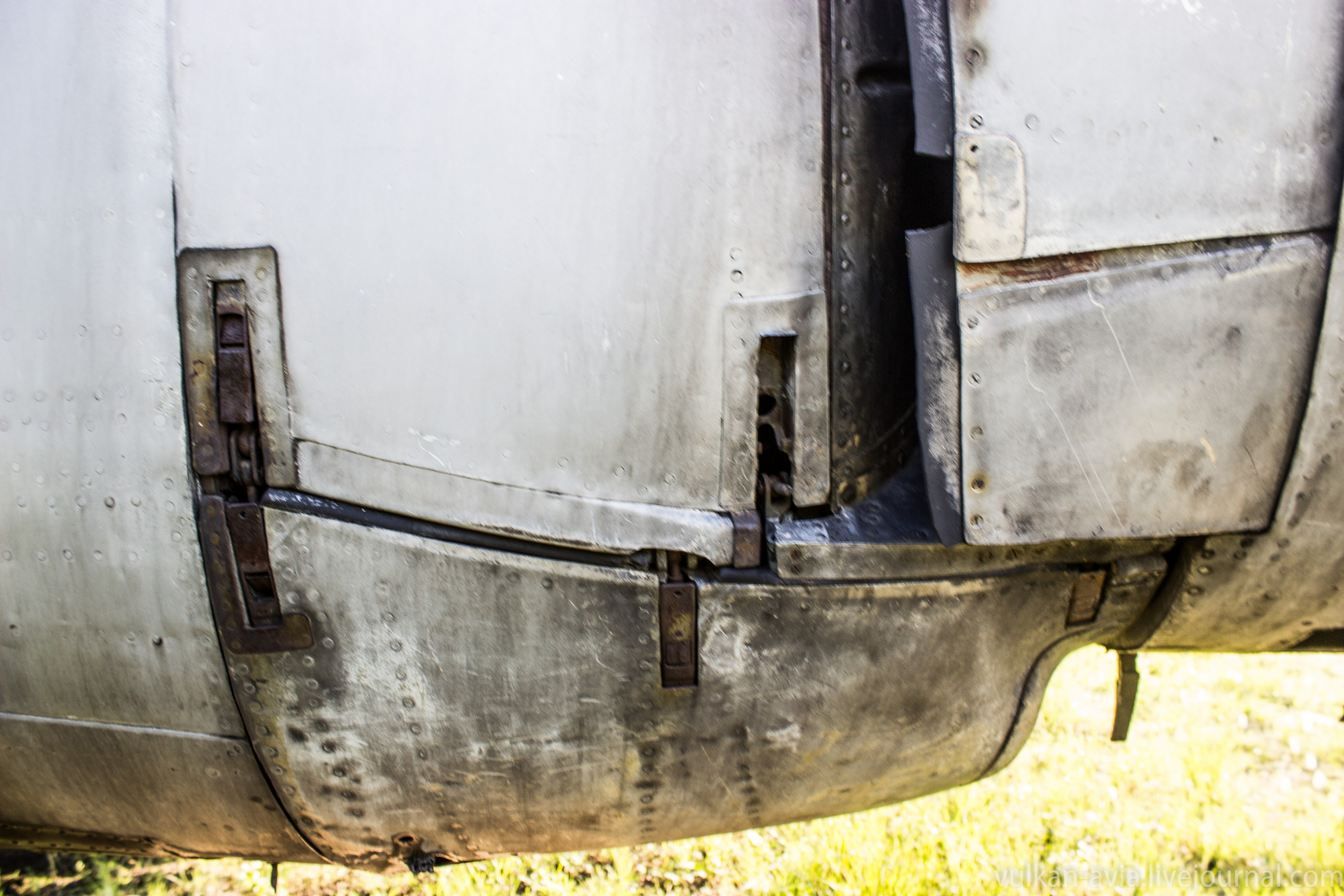 Ил-14 (Пермь, Фролы). Фотоальбом показывающий увлекательный мир авиации и мир медведей Андрея Иванова