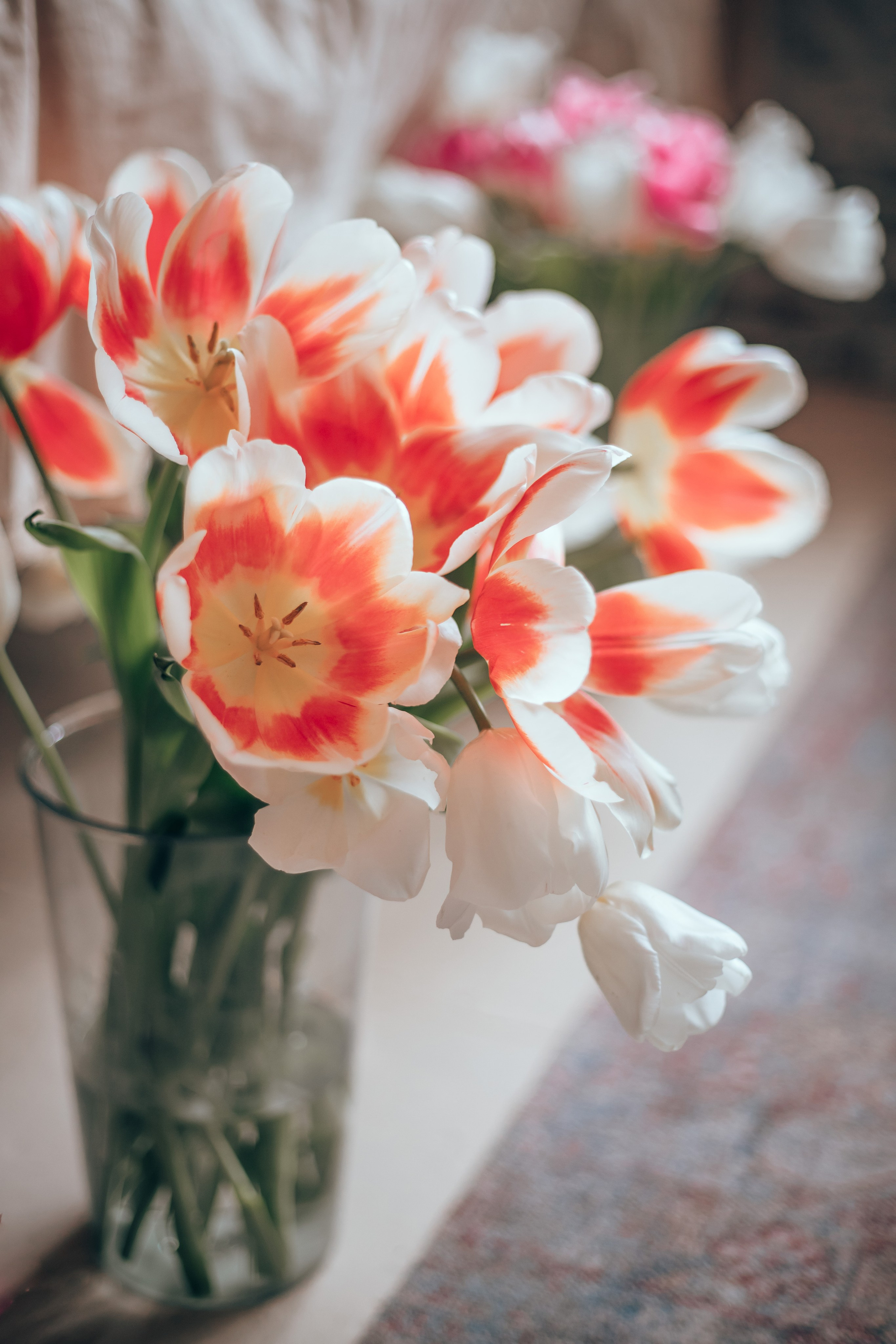 Виктория. Семейный и детский фотограф в г. Новосибирске Макеева Анастасия