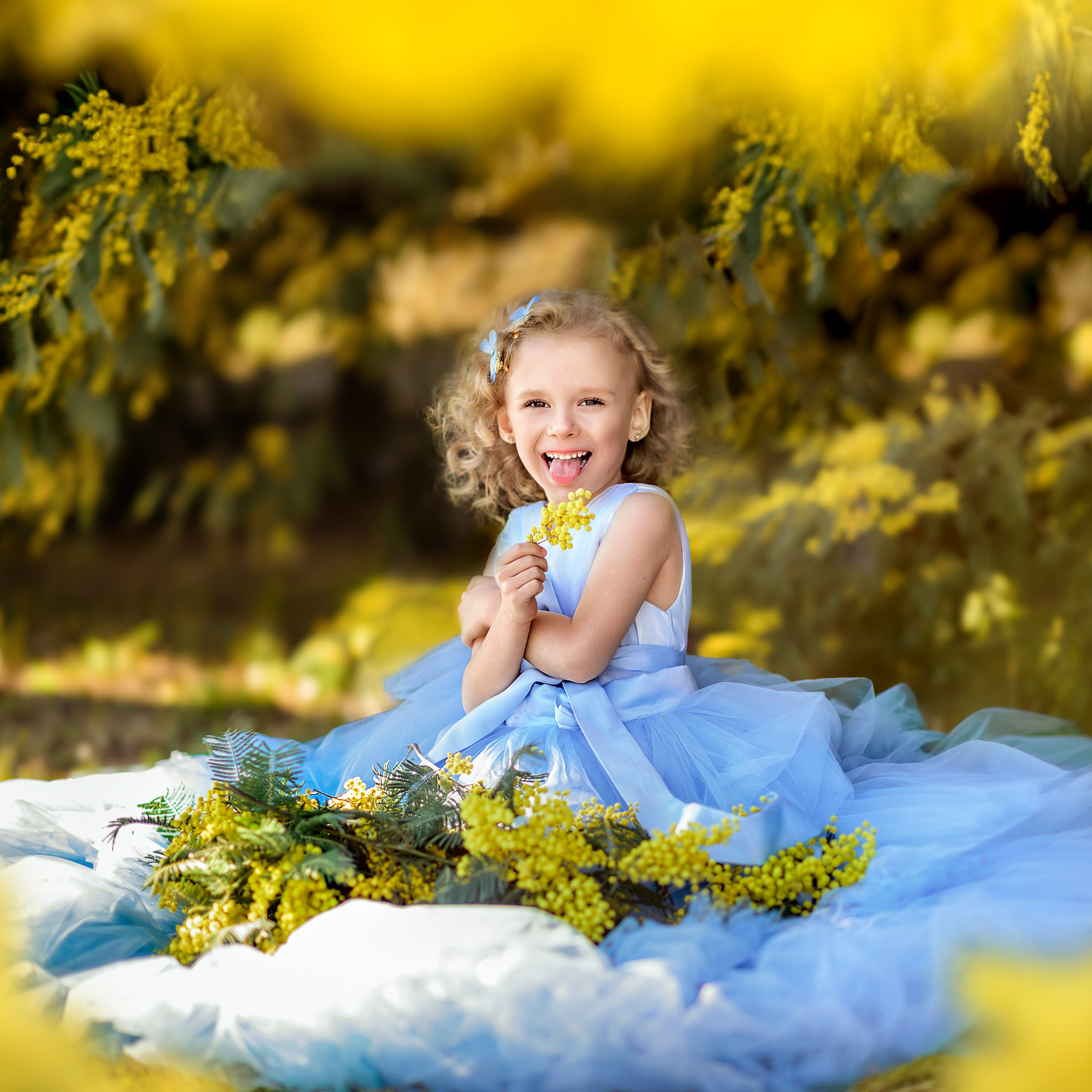 Мимоза. Фотограф в Москве Lidiya_Li_Photo