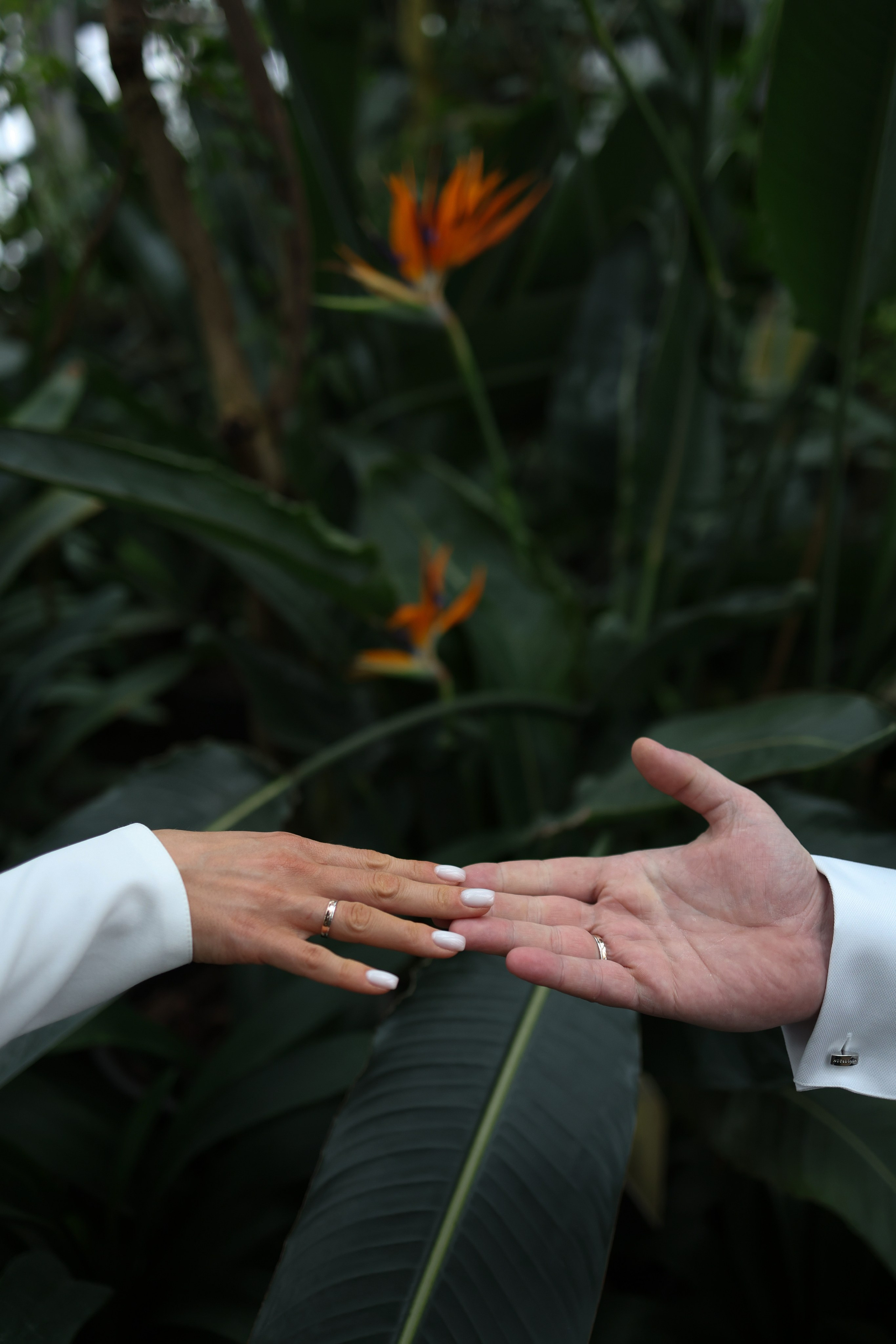 Алексей и Ксения. Фотограф и видеограф в Москве Полина Абраменкова