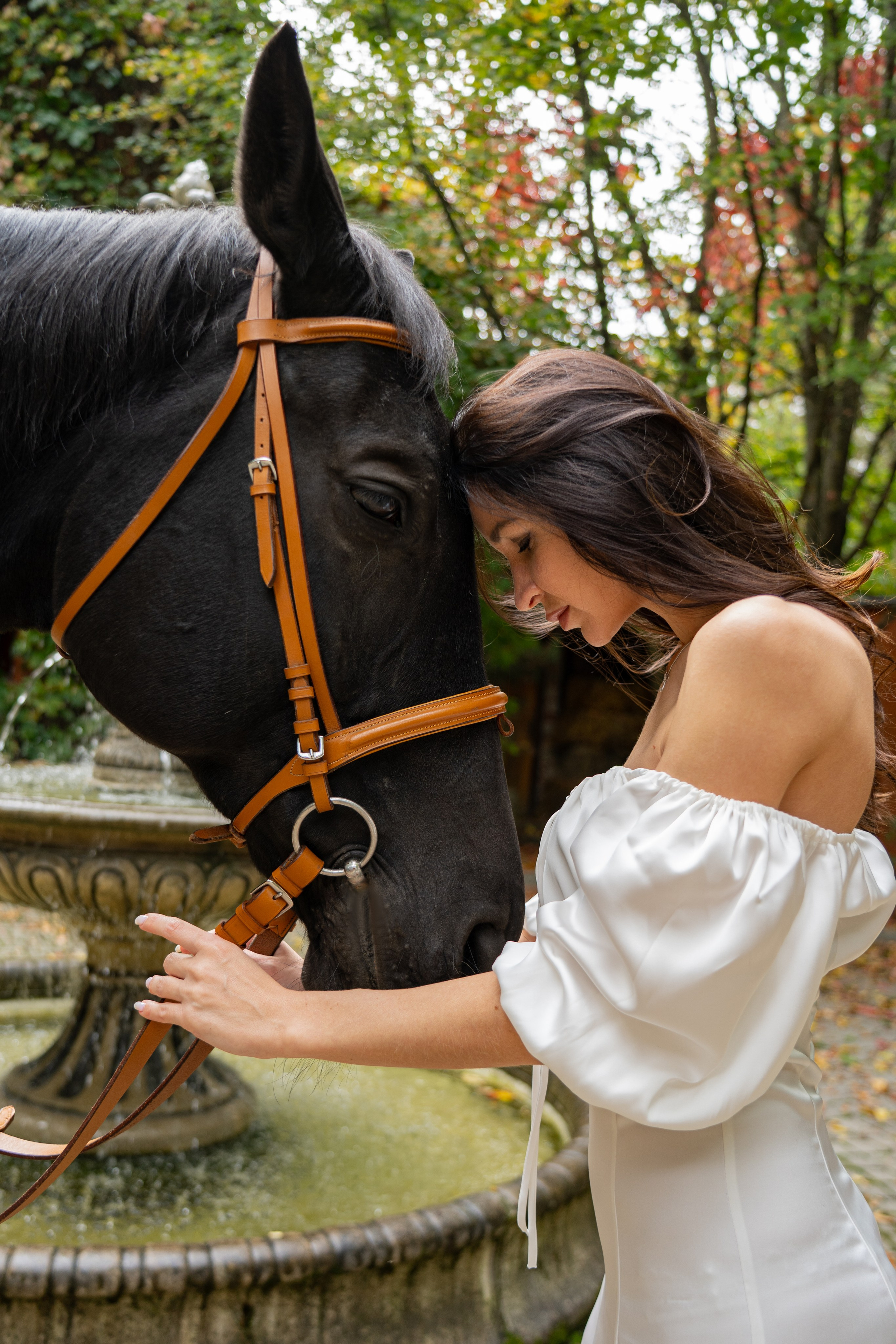Фотосессия с лошадьми. Главная