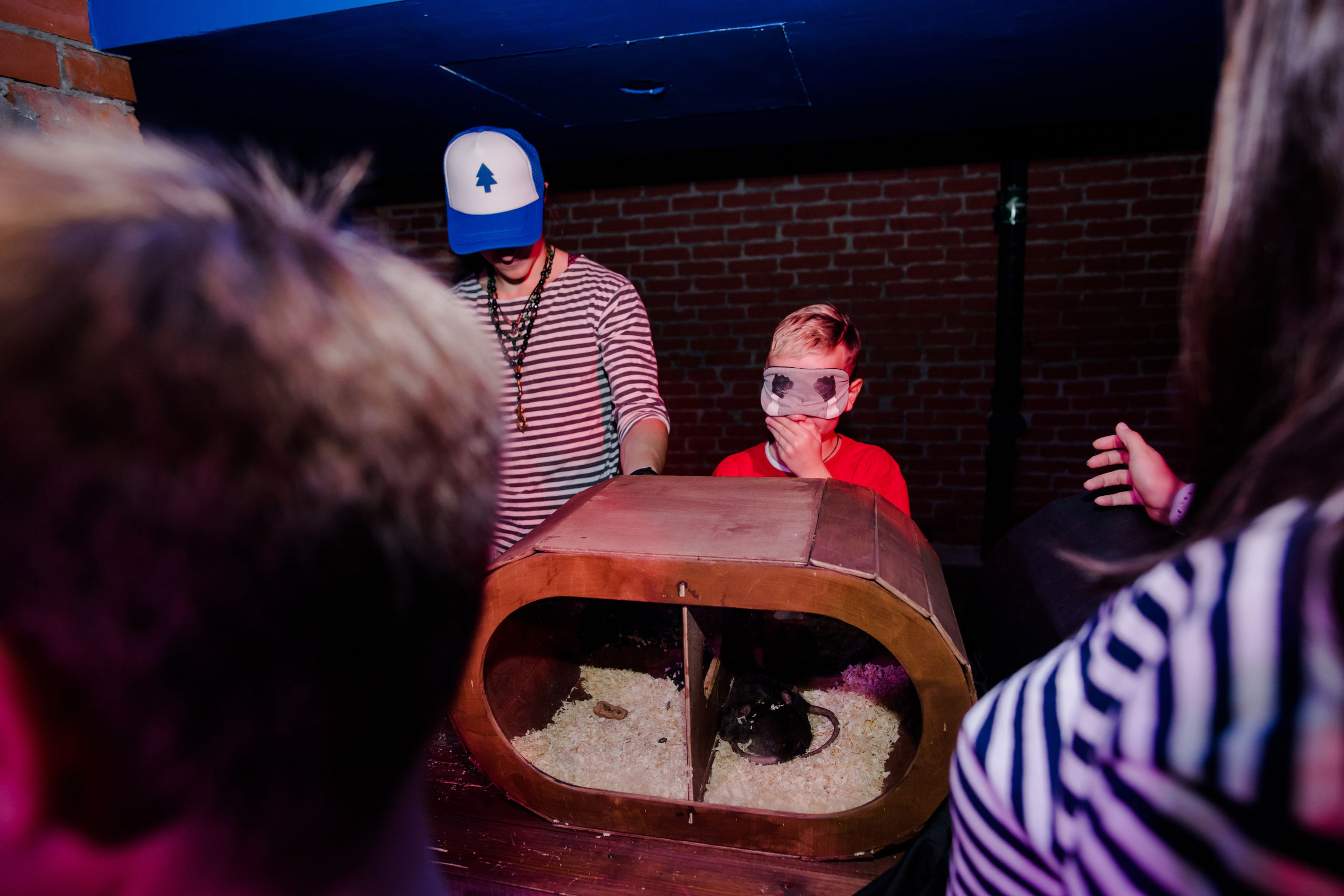 Детские праздники. Свадебный и семейный фотограф Евгения Кононова