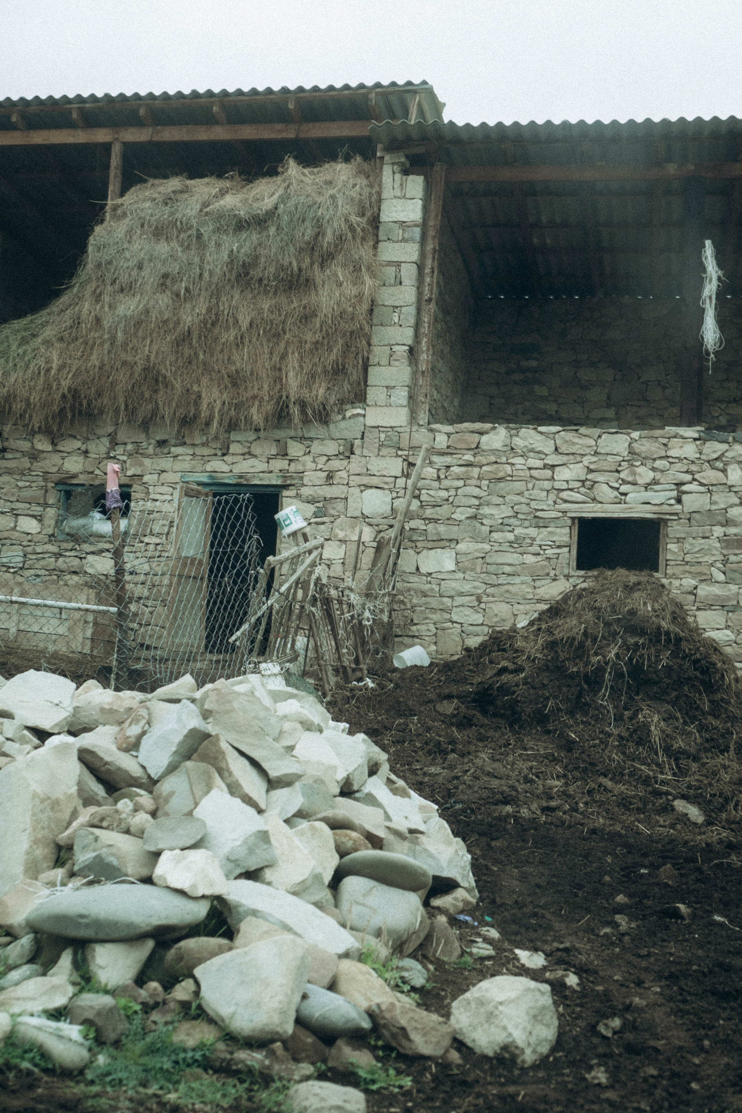Кавказ. Профессиональный фотограф, Санкт-Петербург — Виктория Богомолова