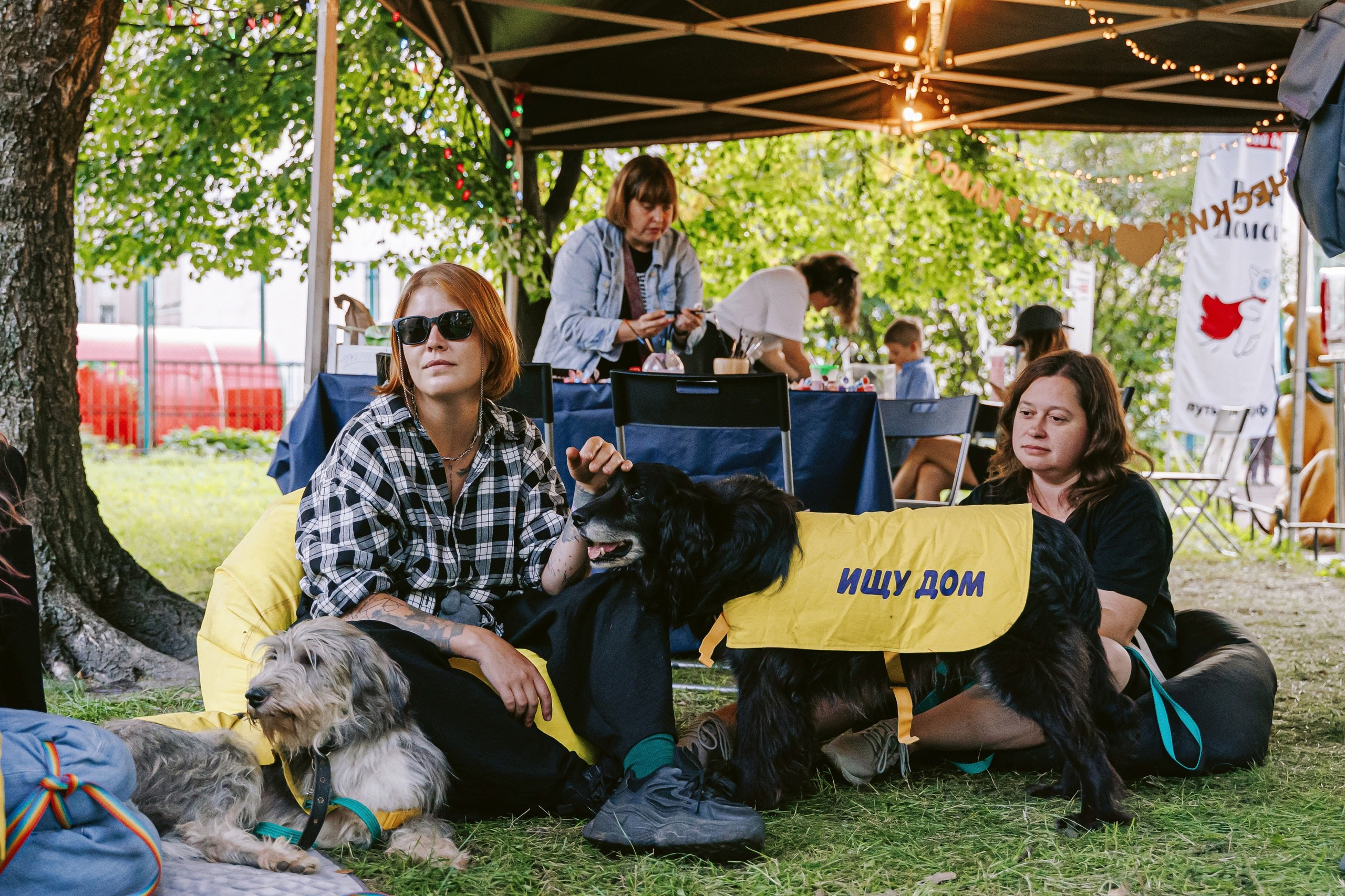 Dream Fest. Photographer Natalia Baranova