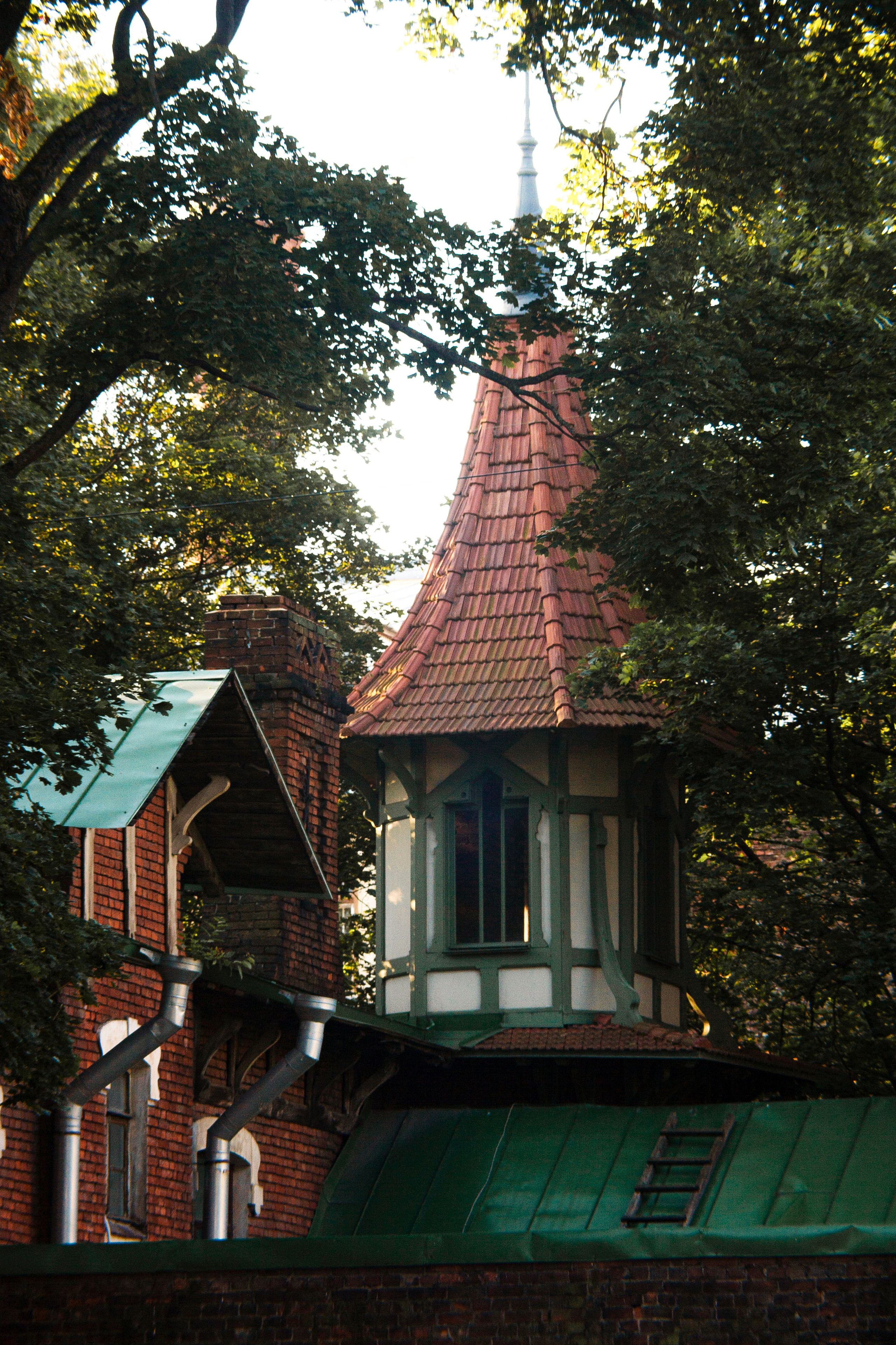 Фотовыставка в Санкт-Петербурге "А где ты гулешь с собачкой, если живешь в центре?"