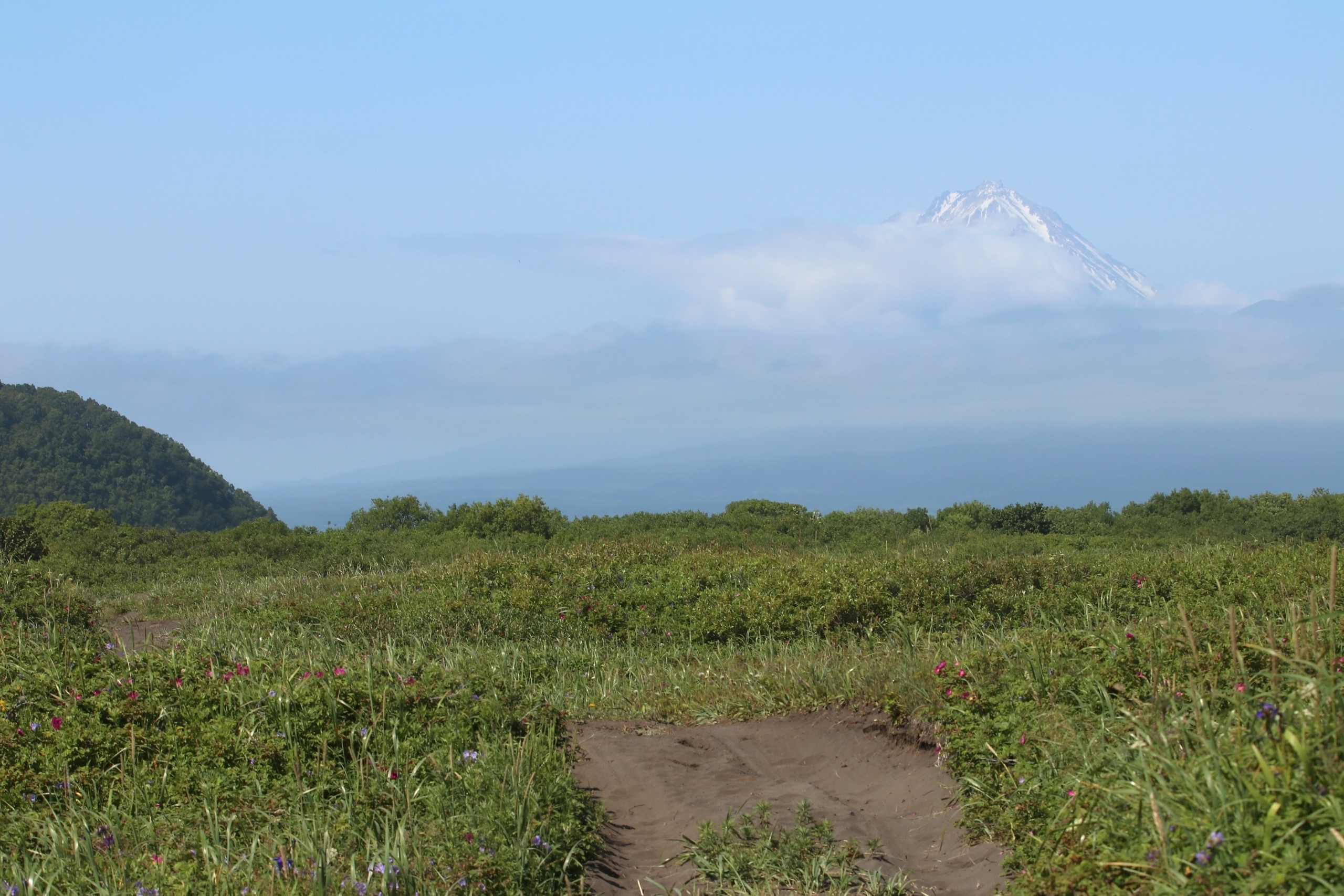 Камчатка и о. Парамушир. Июль 2024. Путешественник-фотограф из Санкт-Петербурга Татьяна Свистулина