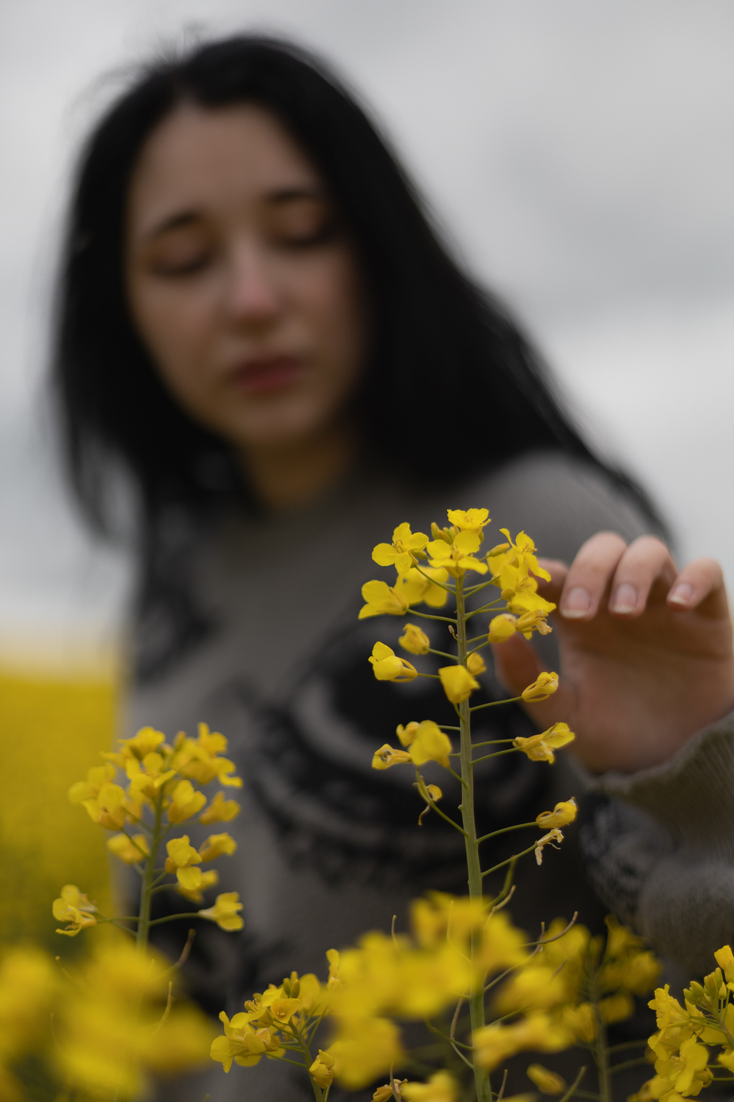 Полина Л — (Рапсовое поле). — Digital Noise —