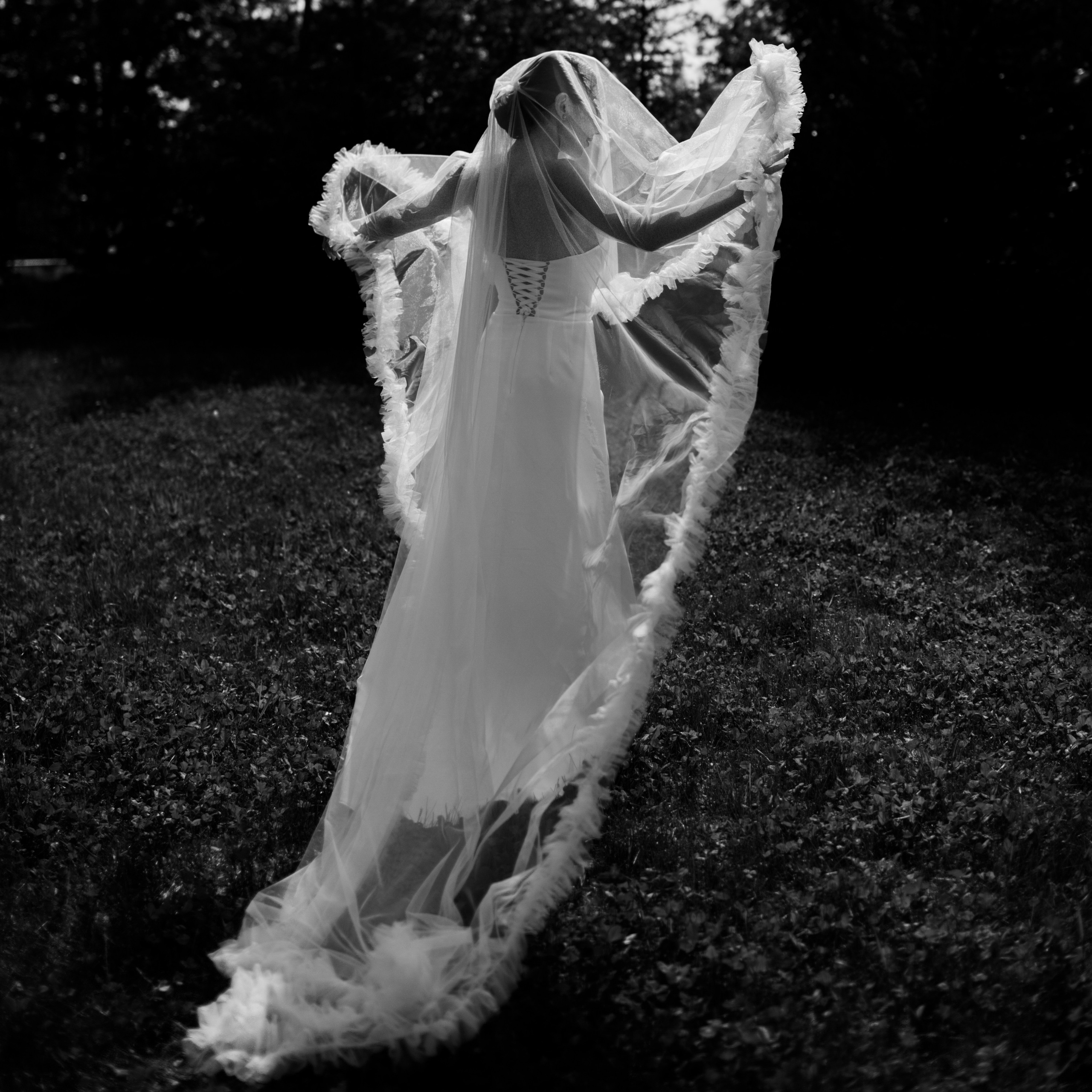 Свадебный фотограф Валерия Лебедева