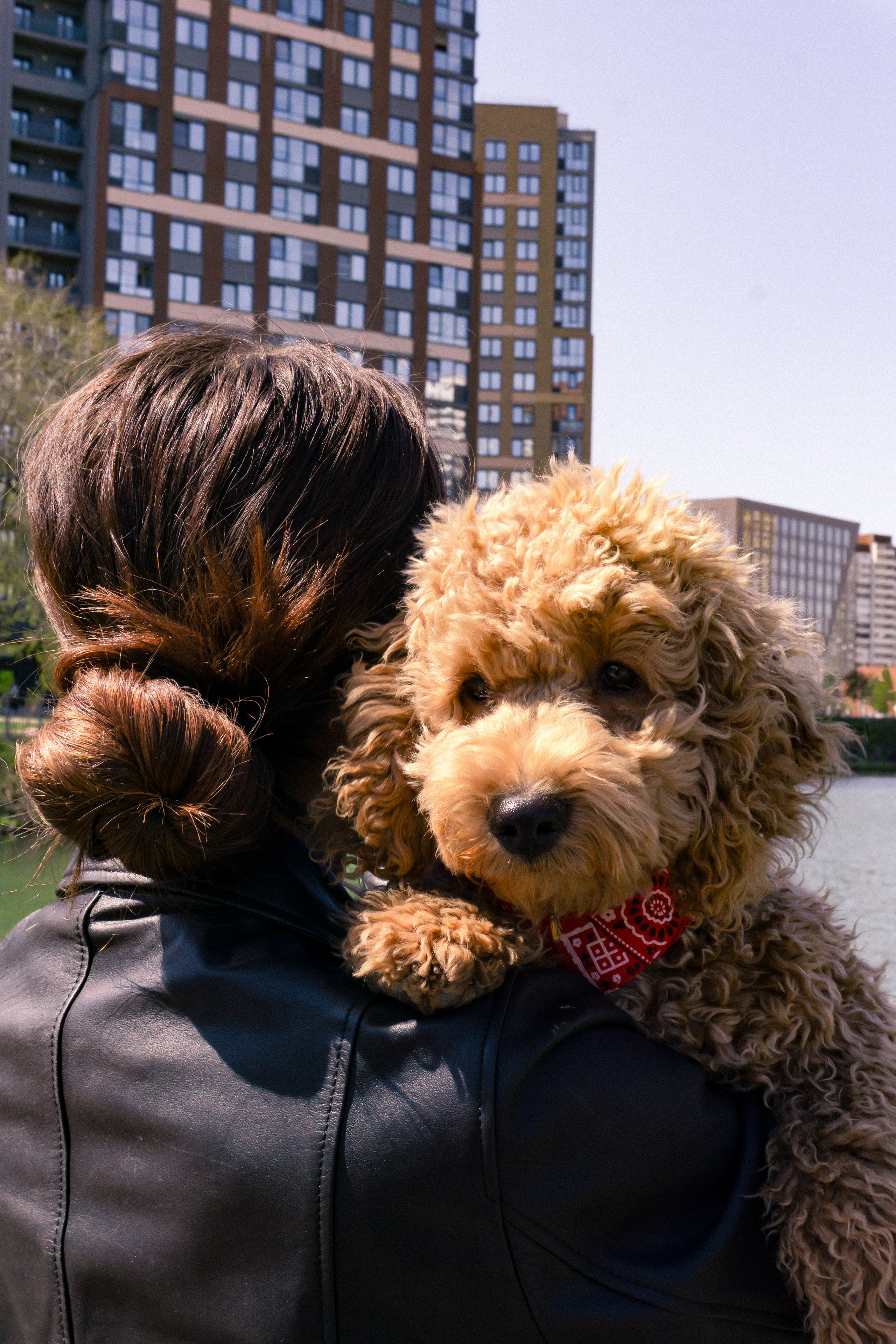 Юлия и Боб. Фотограф