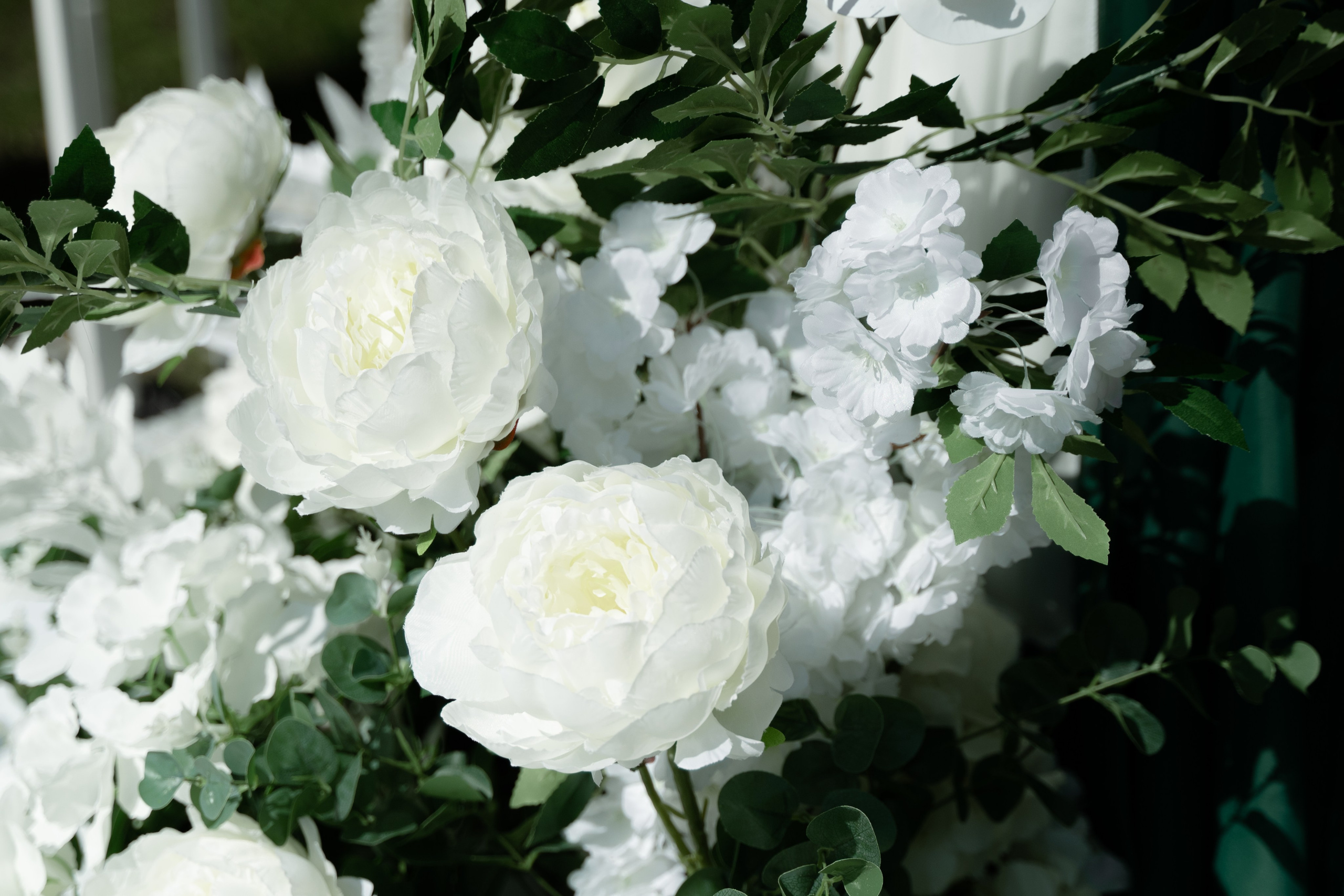 Алиса & Антон. Свадебный и семейный фотограф Тюмень Екатеринбург Москвина Алёна