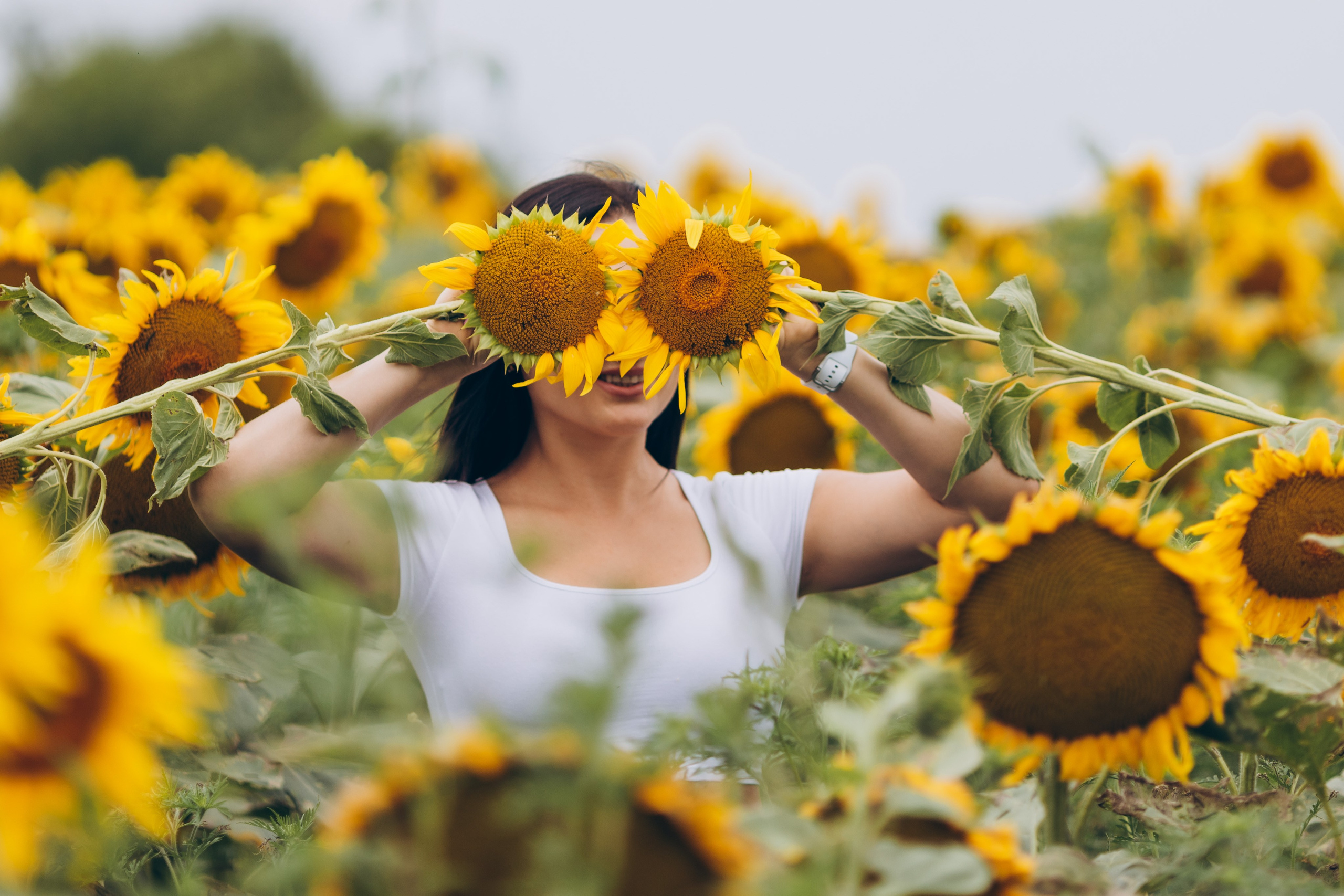 Лето. Профессиональный фотограф и видеооператор