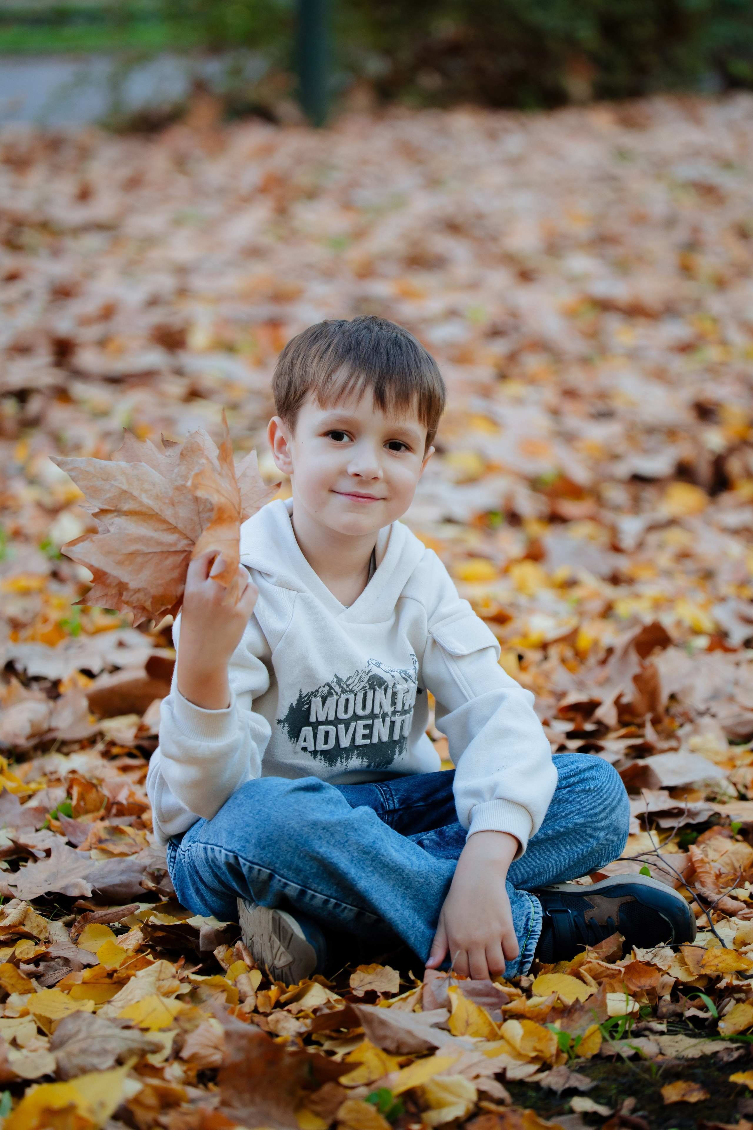 Осень. Профессиональный фотограф и видеооператор