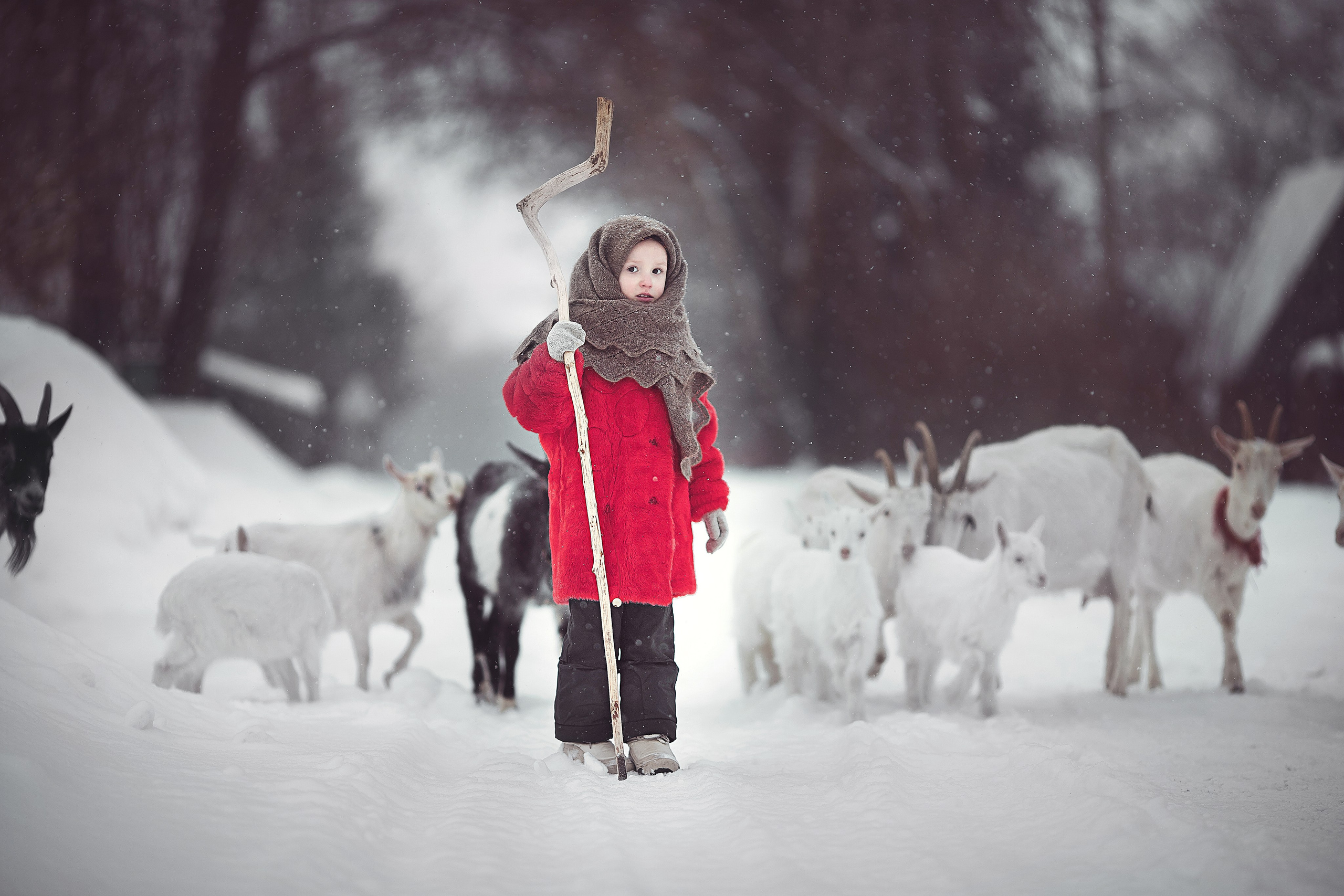 Дети. Фотограф Александр Калинин