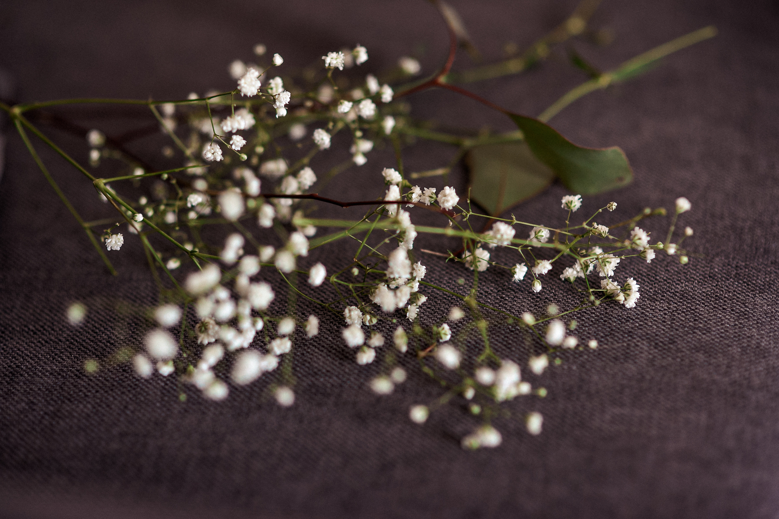 Дарья и Кирилл. Свадебный Фотограф в Твери Анастасия Булкина