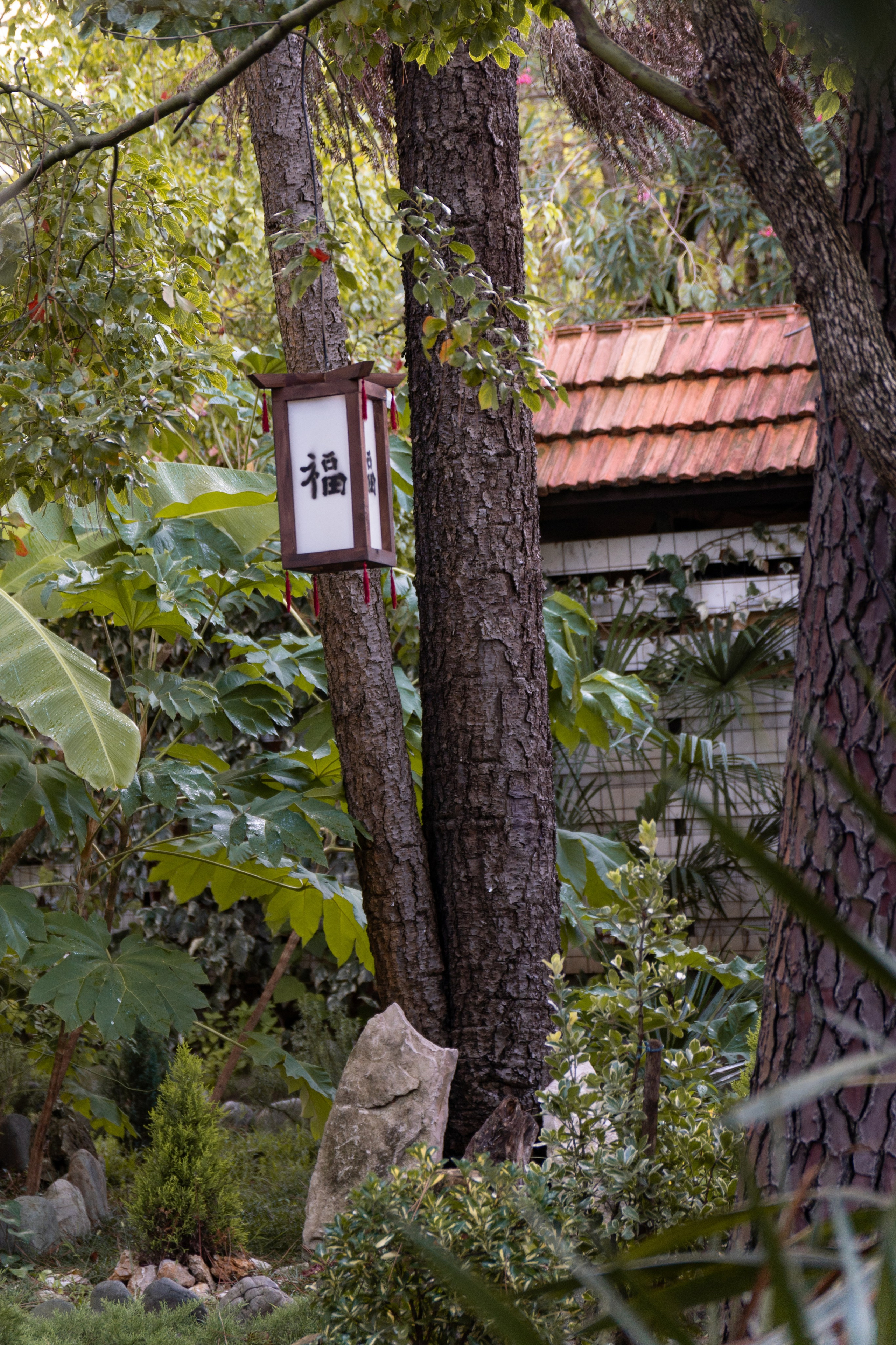 Абхазия. Gusarov Travel Photography