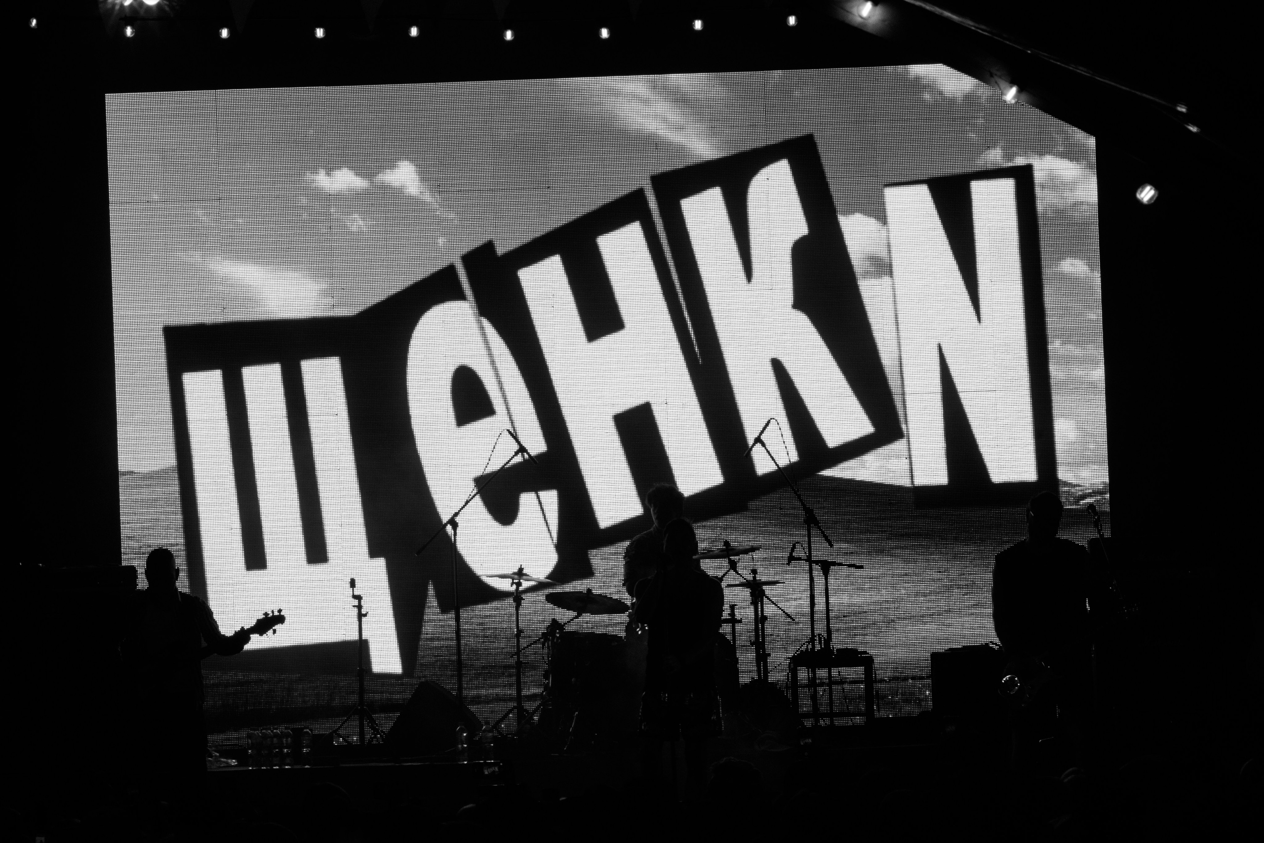 Щенки. Портретный и концертный фотограф в Санкт-Петербурге Егор Телятников