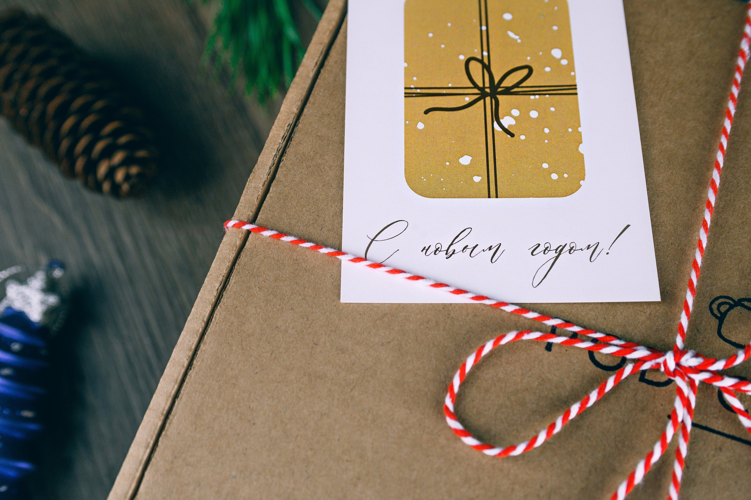 ПРЕДМЕТКА. PH.DANILUX