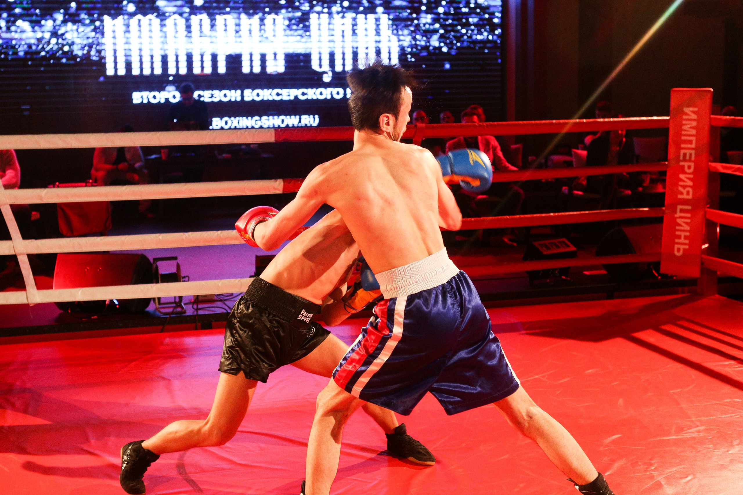 БОКС Империя Цынь, турнир первый. Фотограф Александр Заломаев