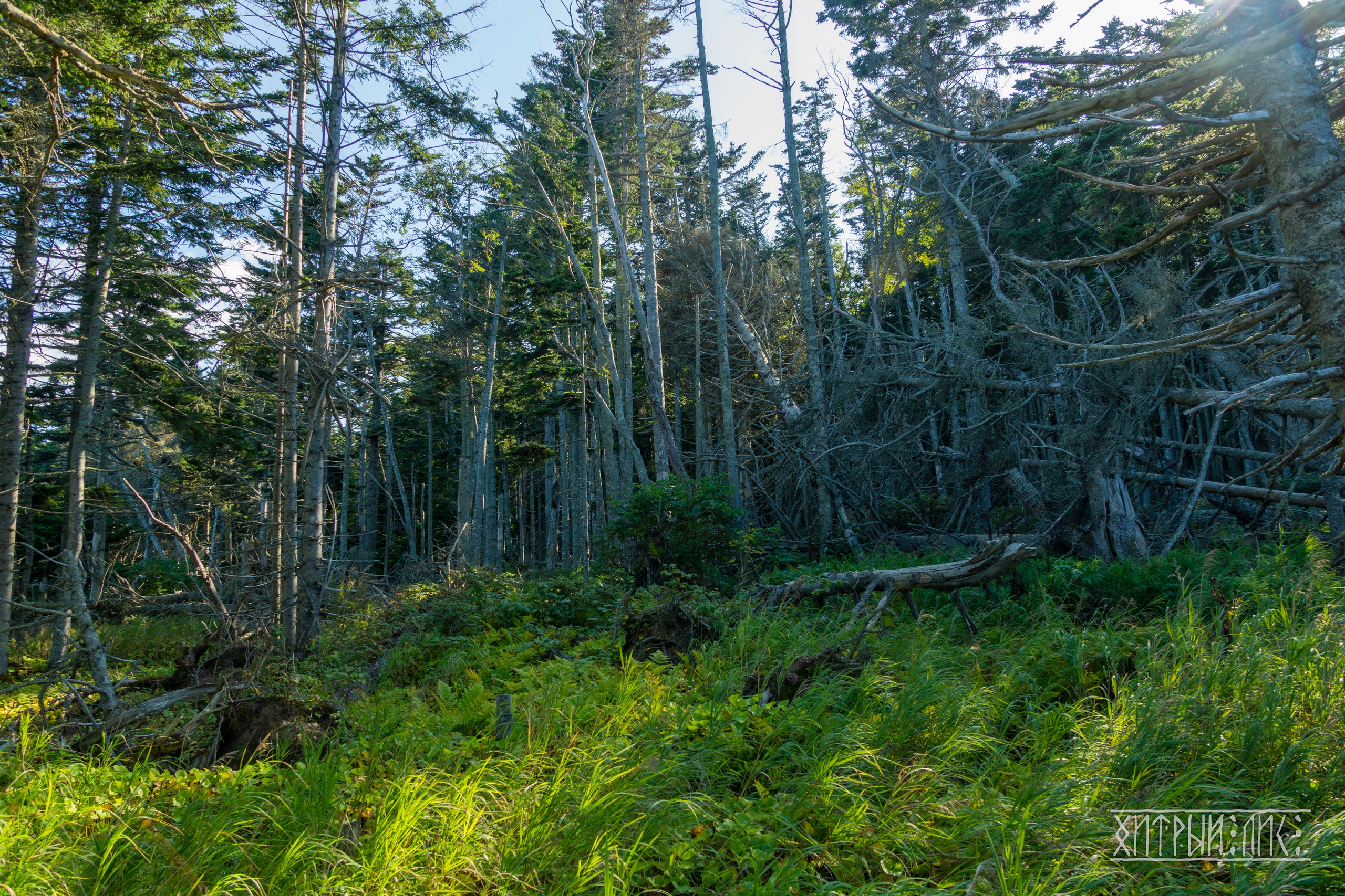 Сахалин. Фотограф-путешественник Самойлов Максим «Sly Fox»