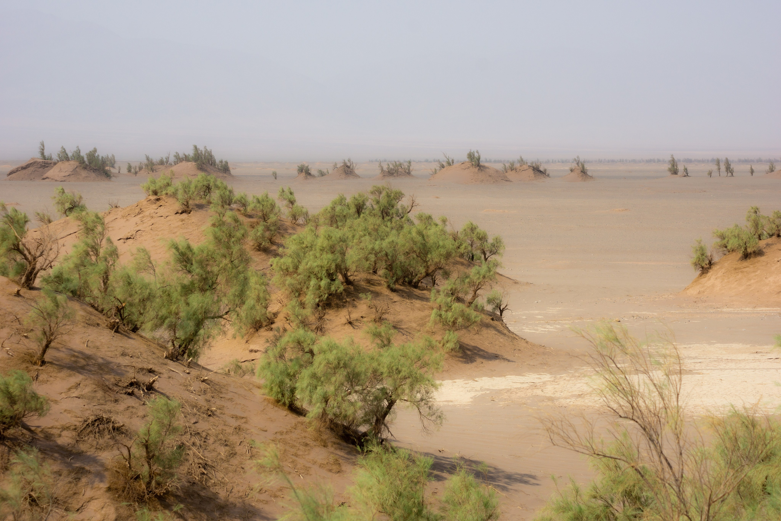 Иран. Фотограф-путешественник Самойлов Максим «Sly Fox»