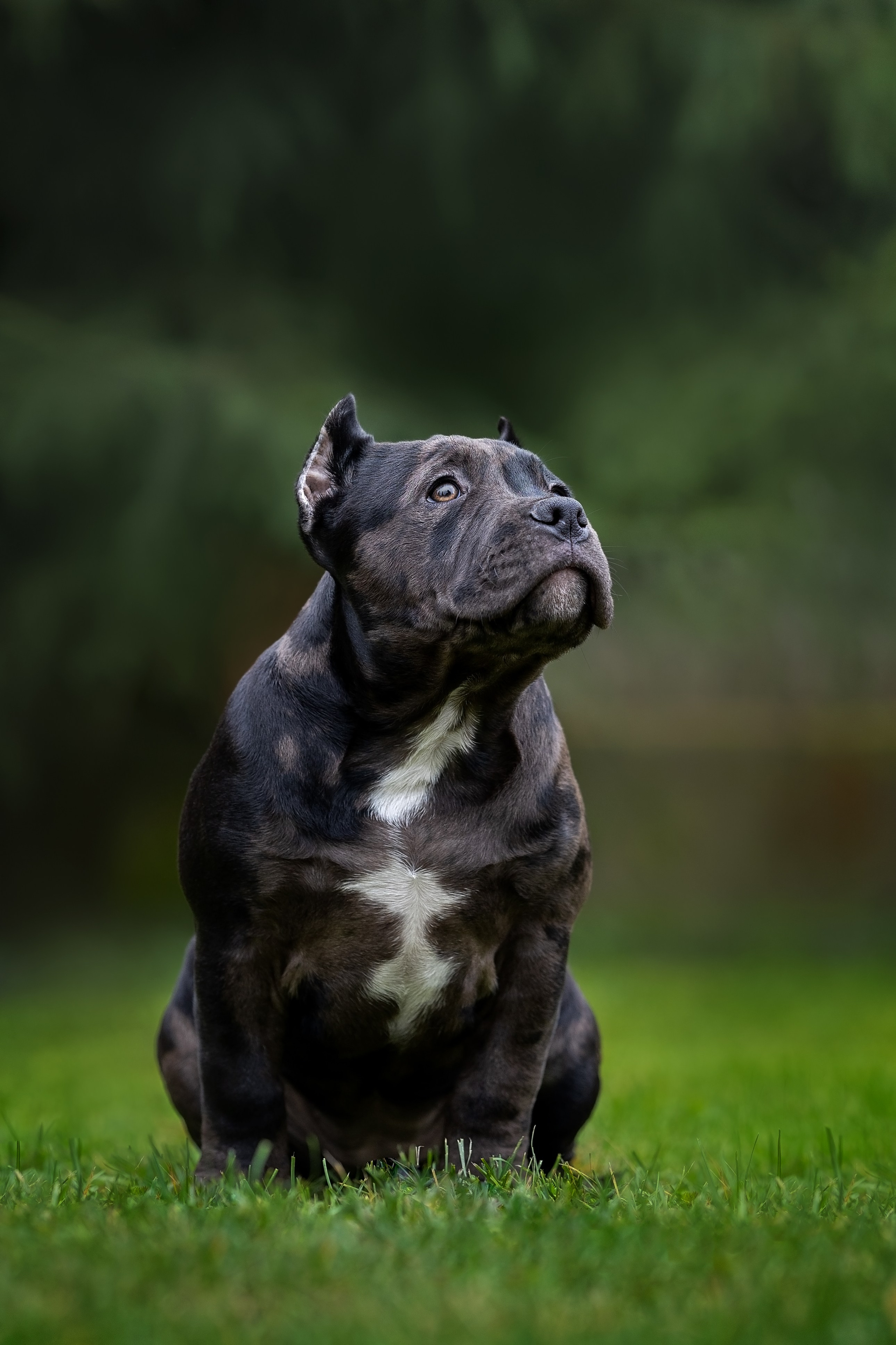 Анималистика. Репортажный фотограф Мария Мадзик