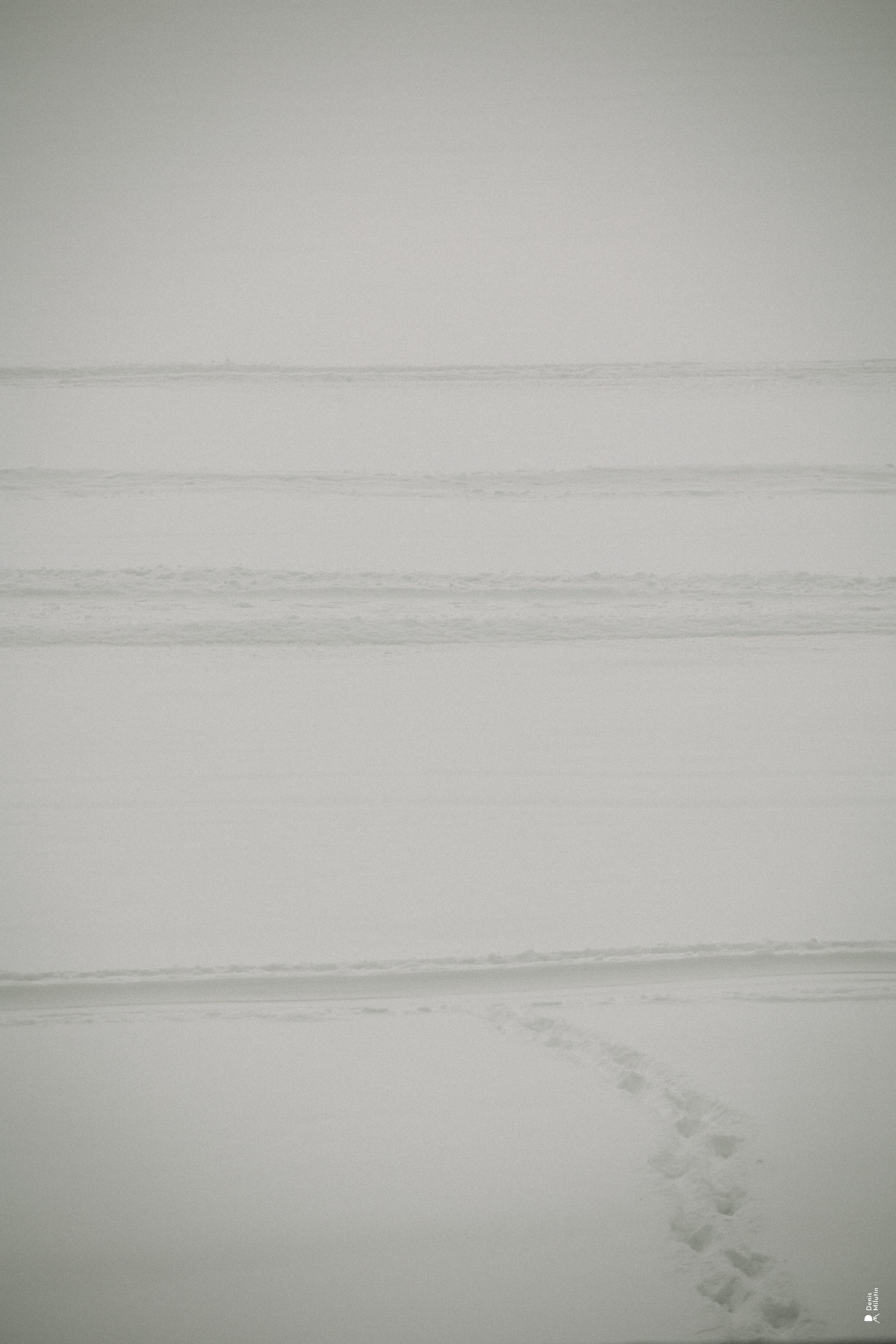 Прогулка по озеру. Портретный фотограф Денис Милютин