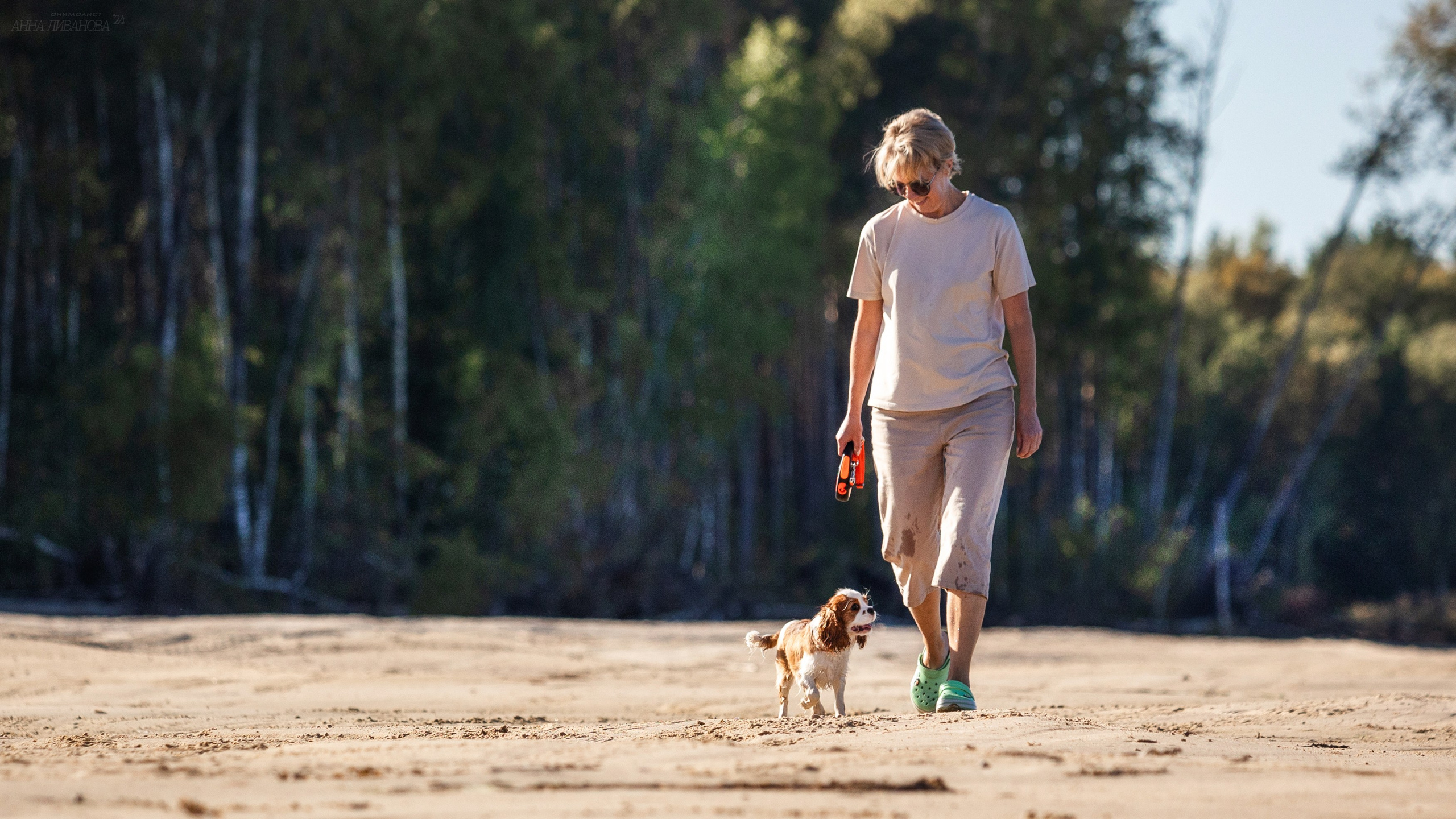 Татка. Фотограф анималист Аня Ливанова | Рыбинск