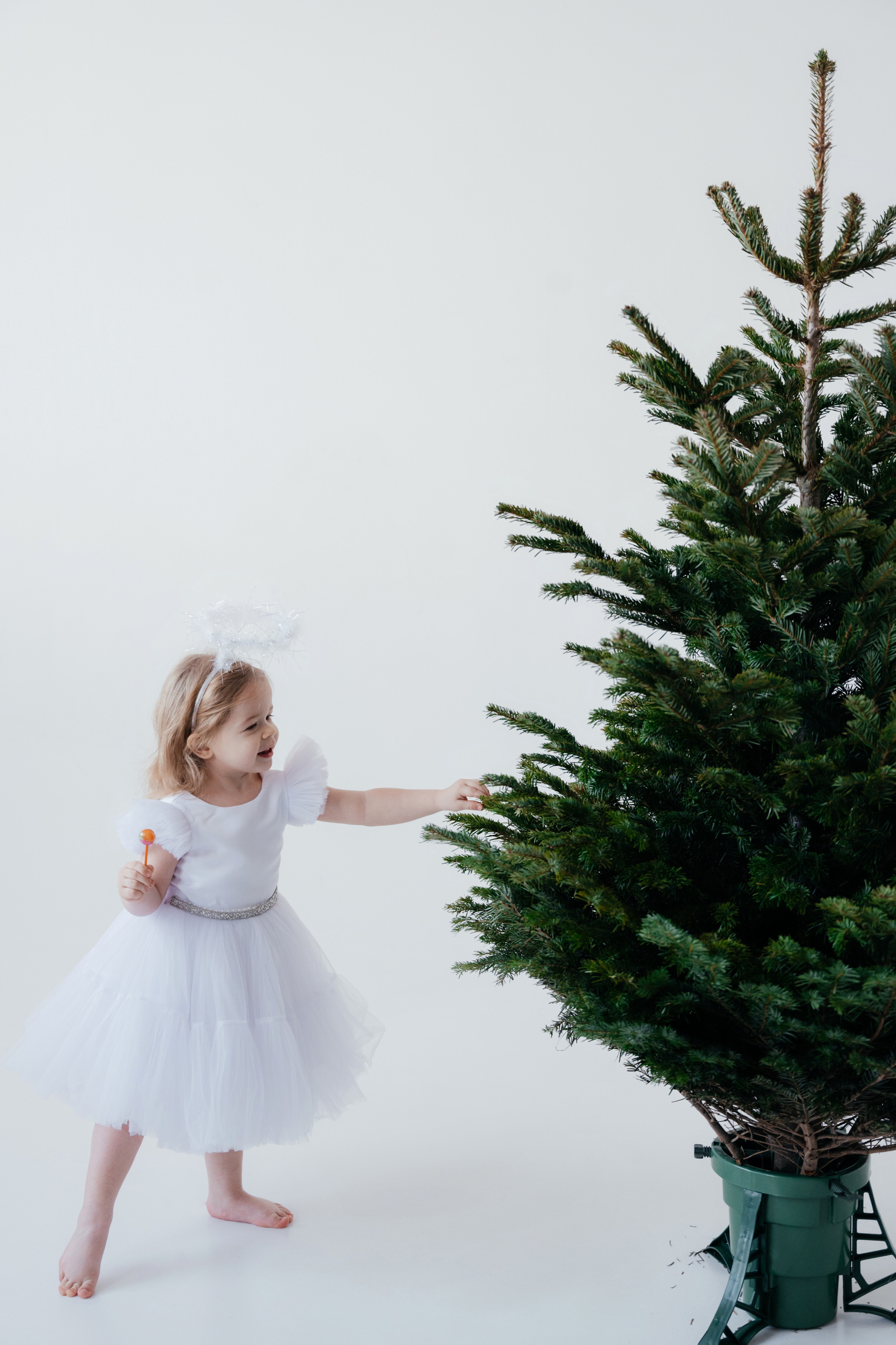 Мироненко. Свадебный и семейный фотограф Вероника Холод