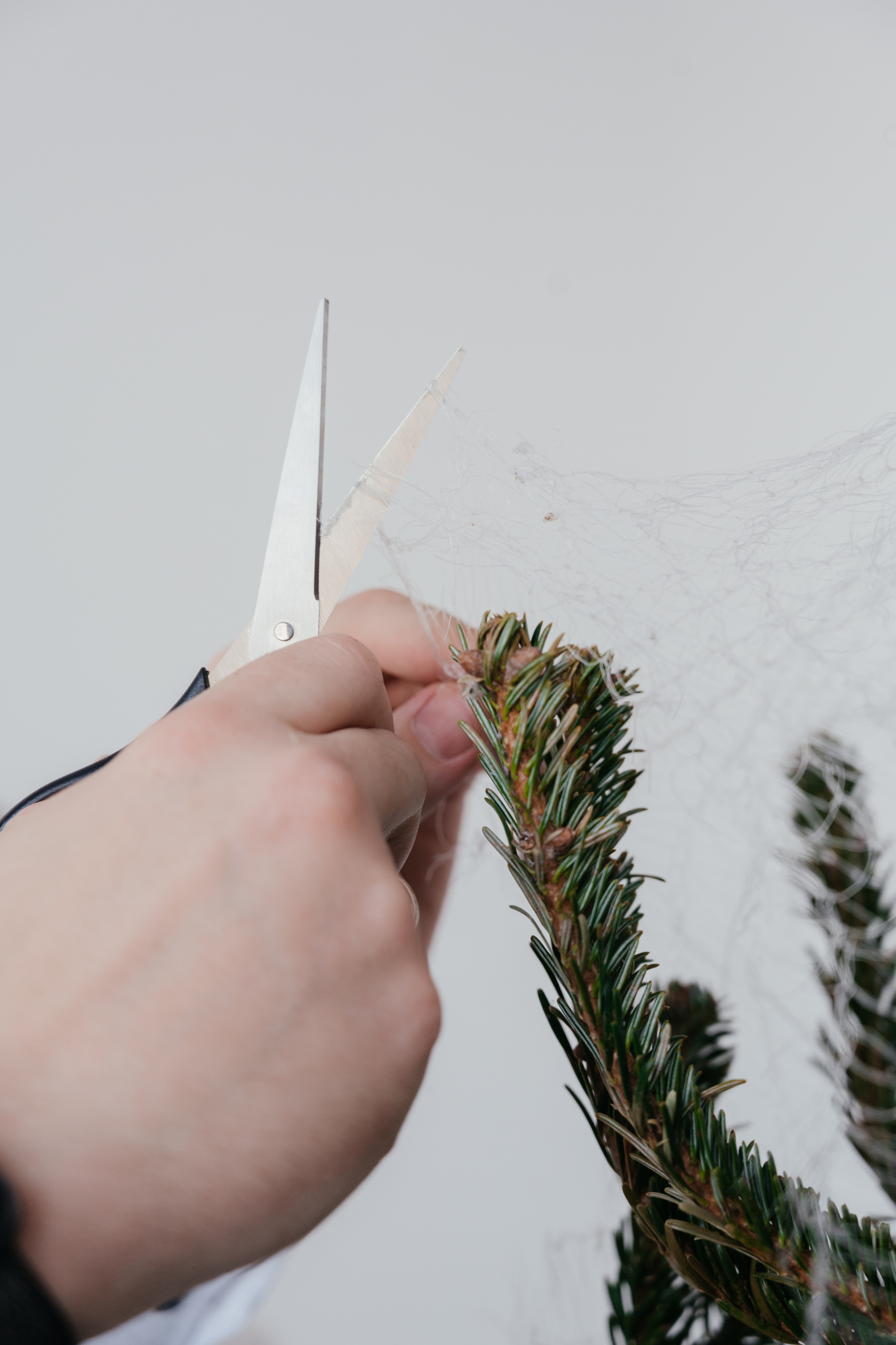 Мироненко. Свадебный и семейный фотограф Вероника Холод